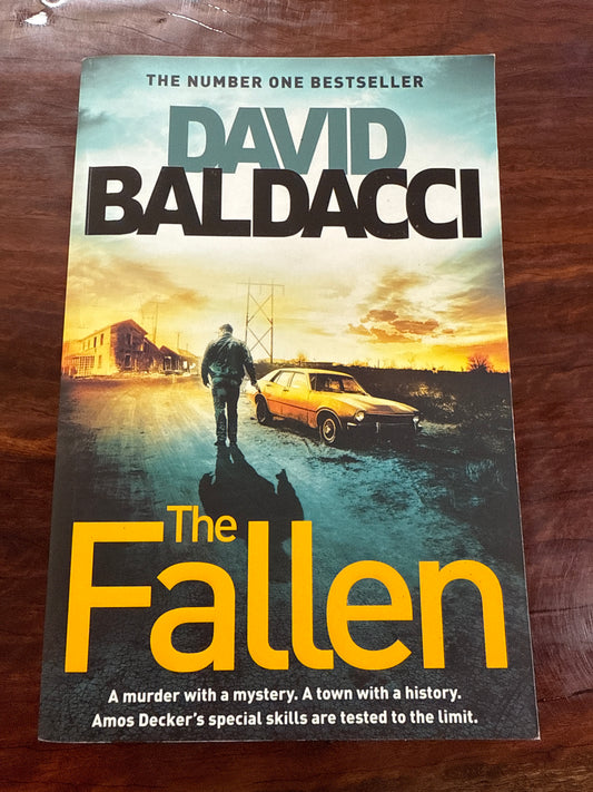 The Fallen (Amos Decker #4)
