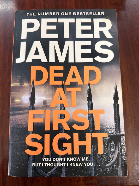 Dead at First Sight (Roy Grace #15)
