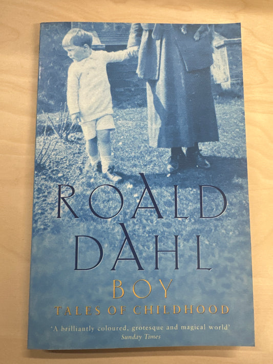 Boy: Tales of Childhood