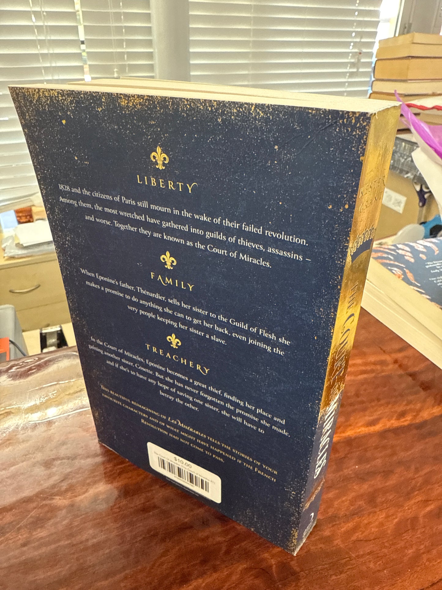 The Court Of Miracles (The Court of Miracles #1)