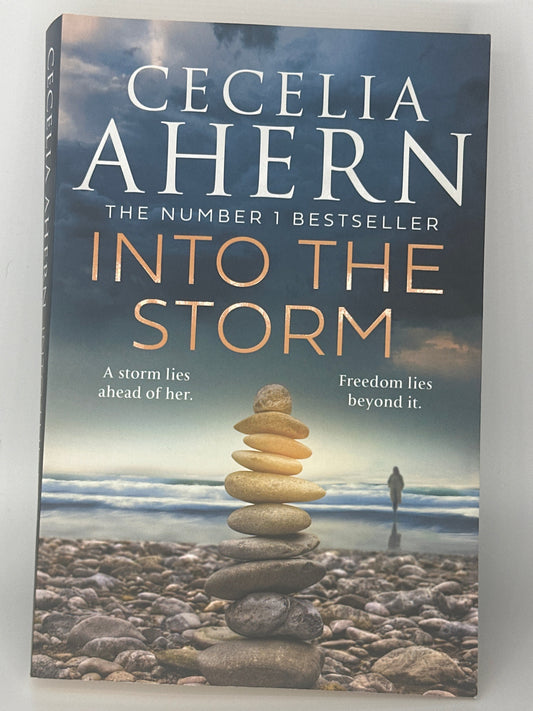 Cecelia Ahern Into The Storm Actual front cover used books
