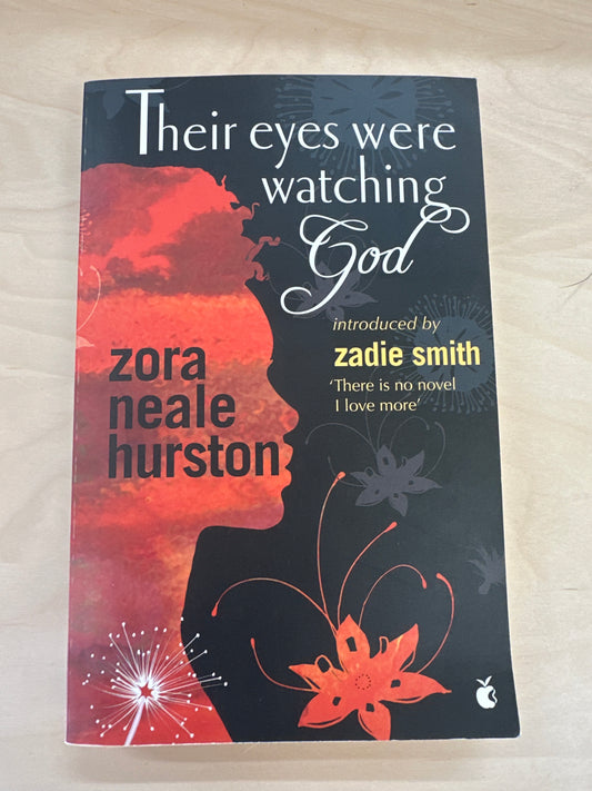 Their Eyes Were Watching God (Virago modern classic)