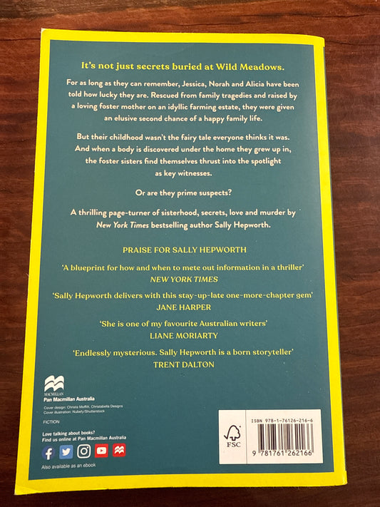 Sally Hepworth Darling Girls back cover