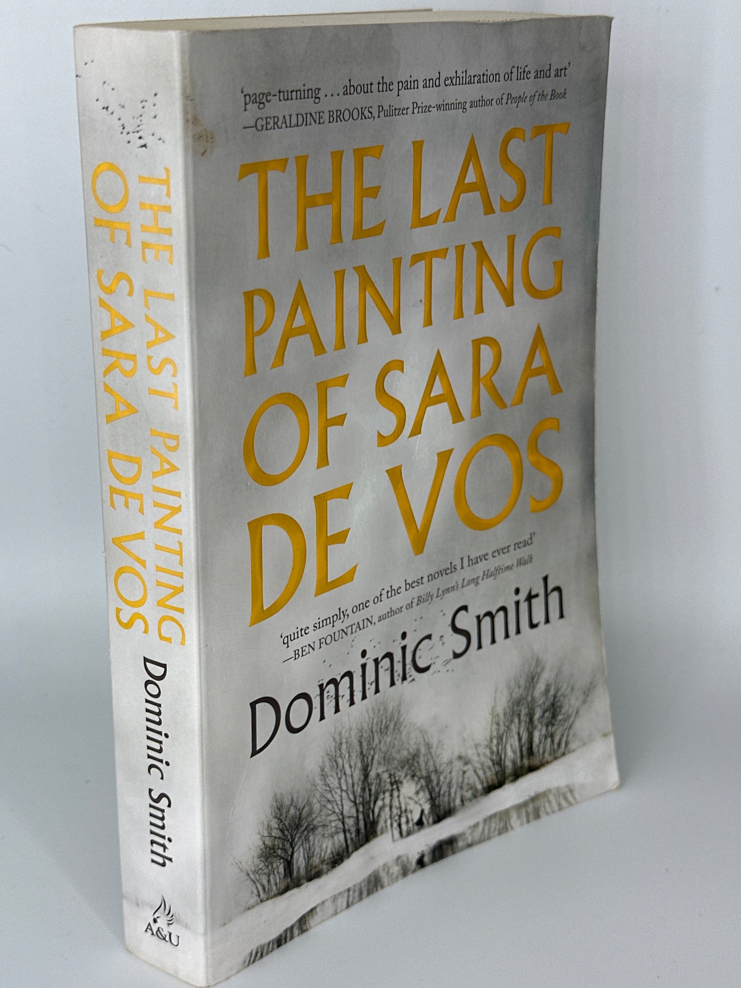Dominic Smith The Last Painting of Sara De Vos actual spine used books