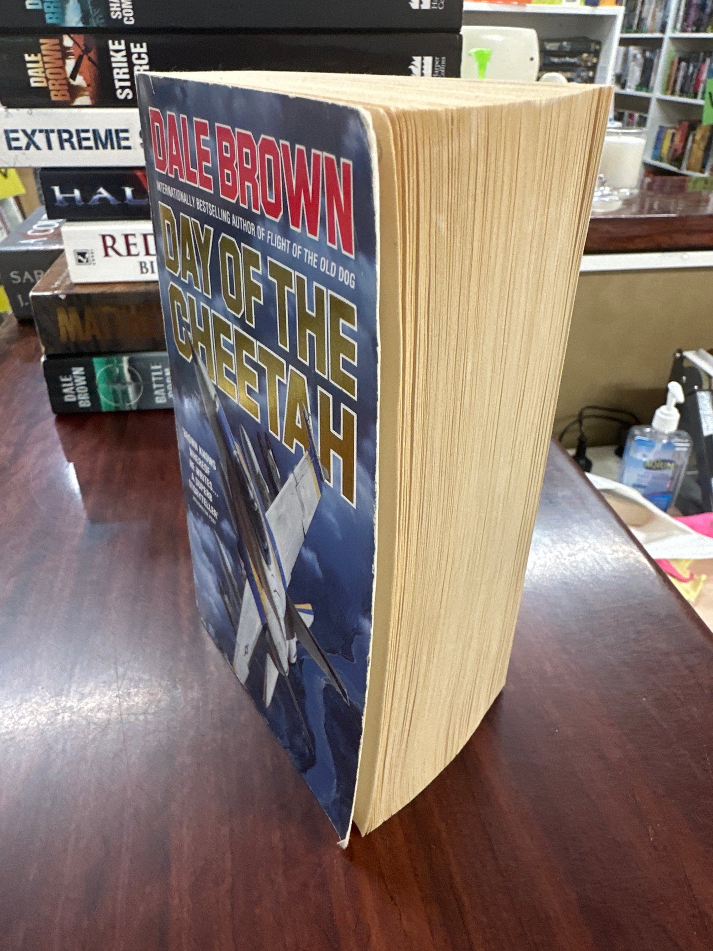 The Day of the Cheetah