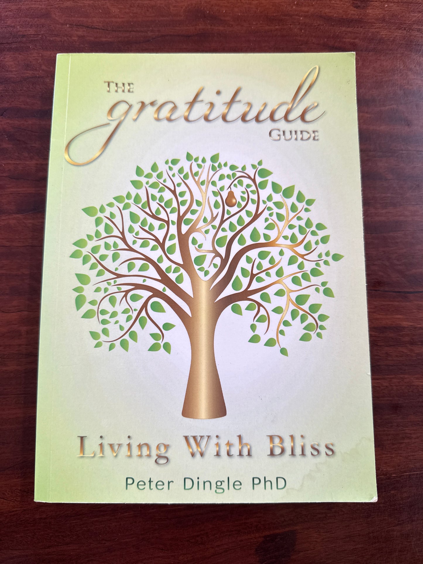 The Gratitude Guide