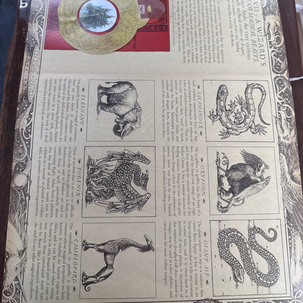 Wizardology: the Book of the Secrets of Merlin : Being a True Account of Wizards, Their Ways And Many Wonderful Powers As Told By Master Merlin