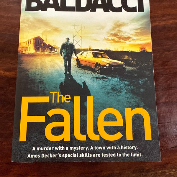 The Fallen (Amos Decker #4)