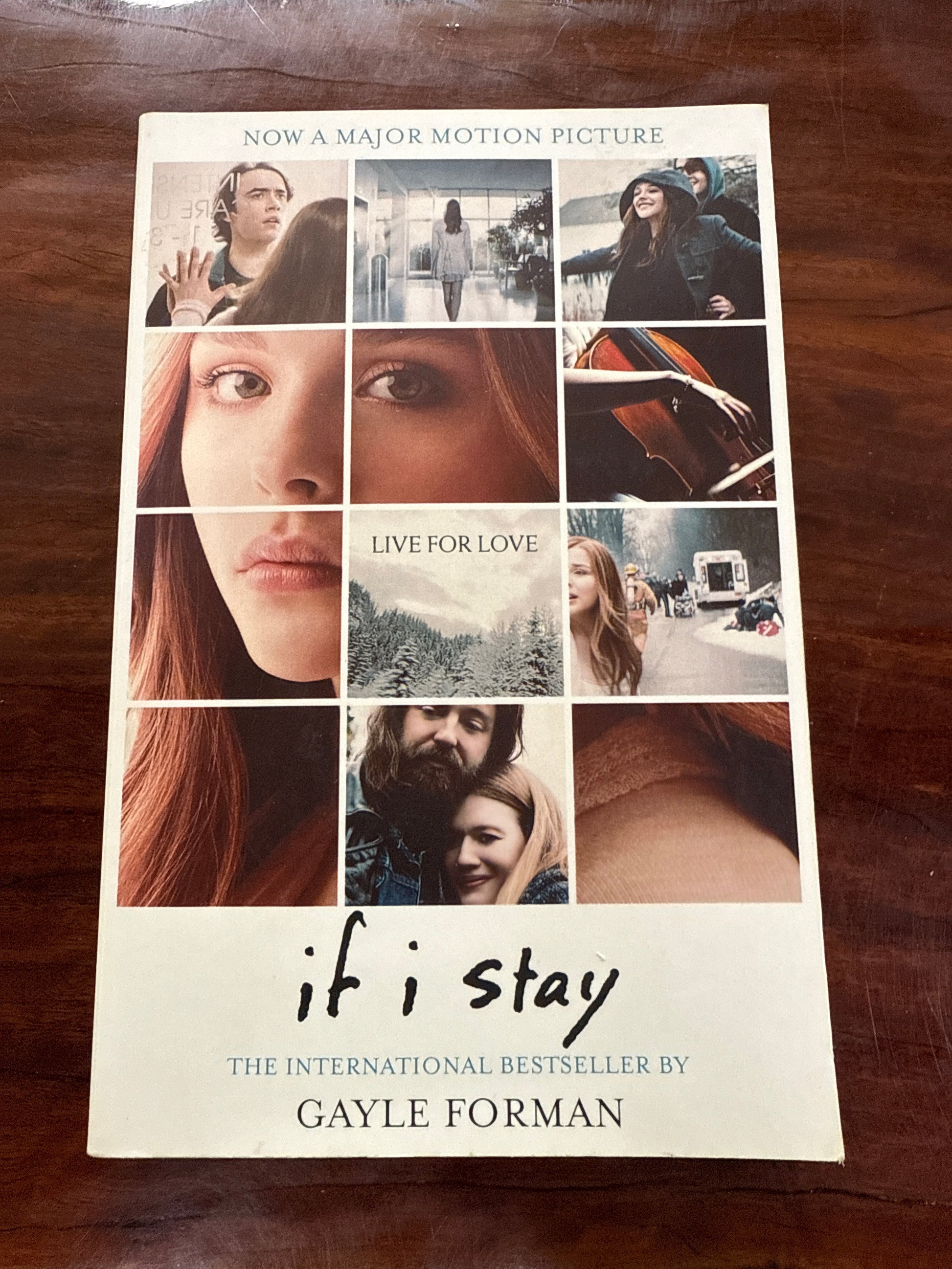 If I Stay (If I Stay #1)