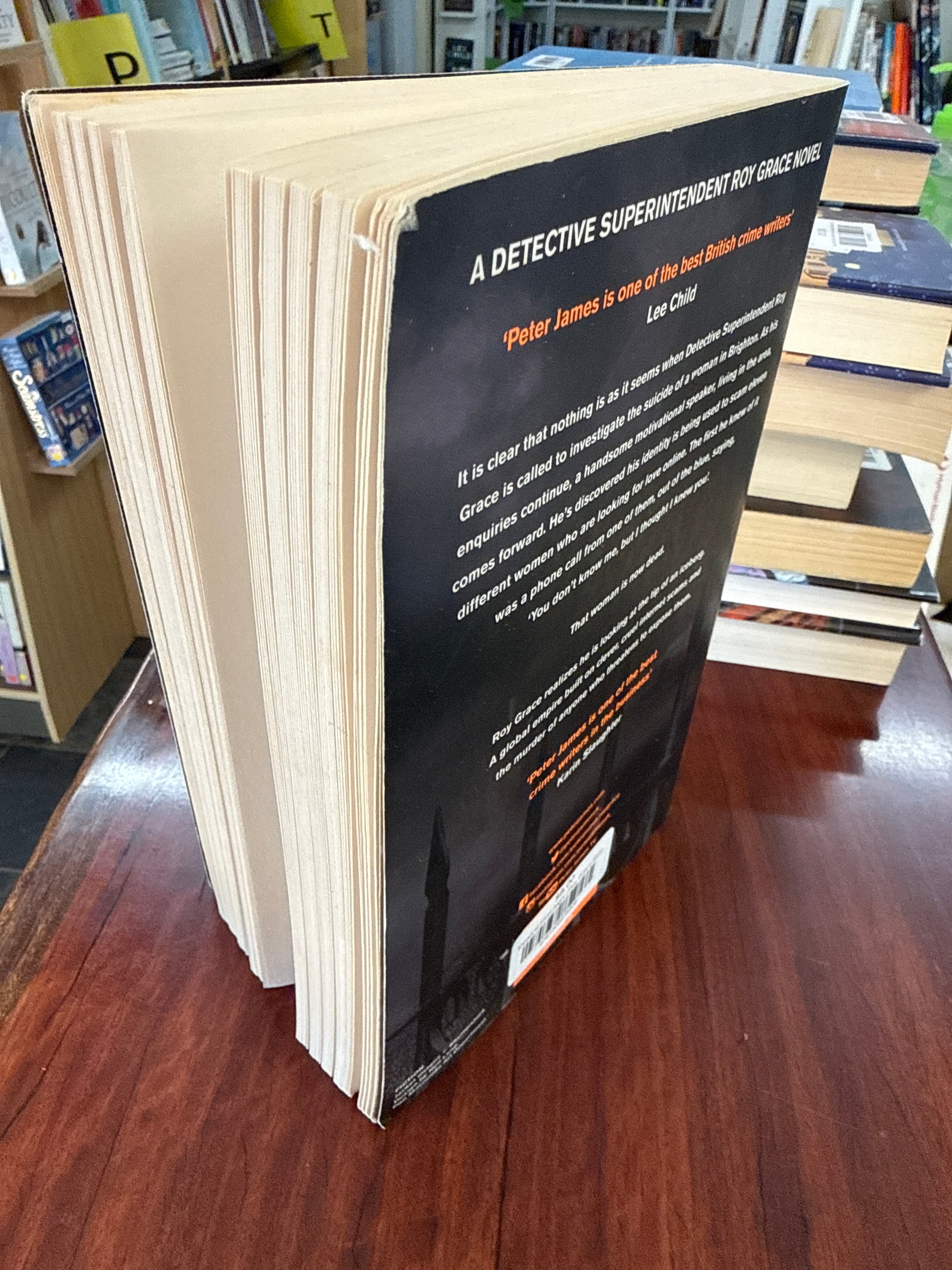 Dead at First Sight (Roy Grace #15)