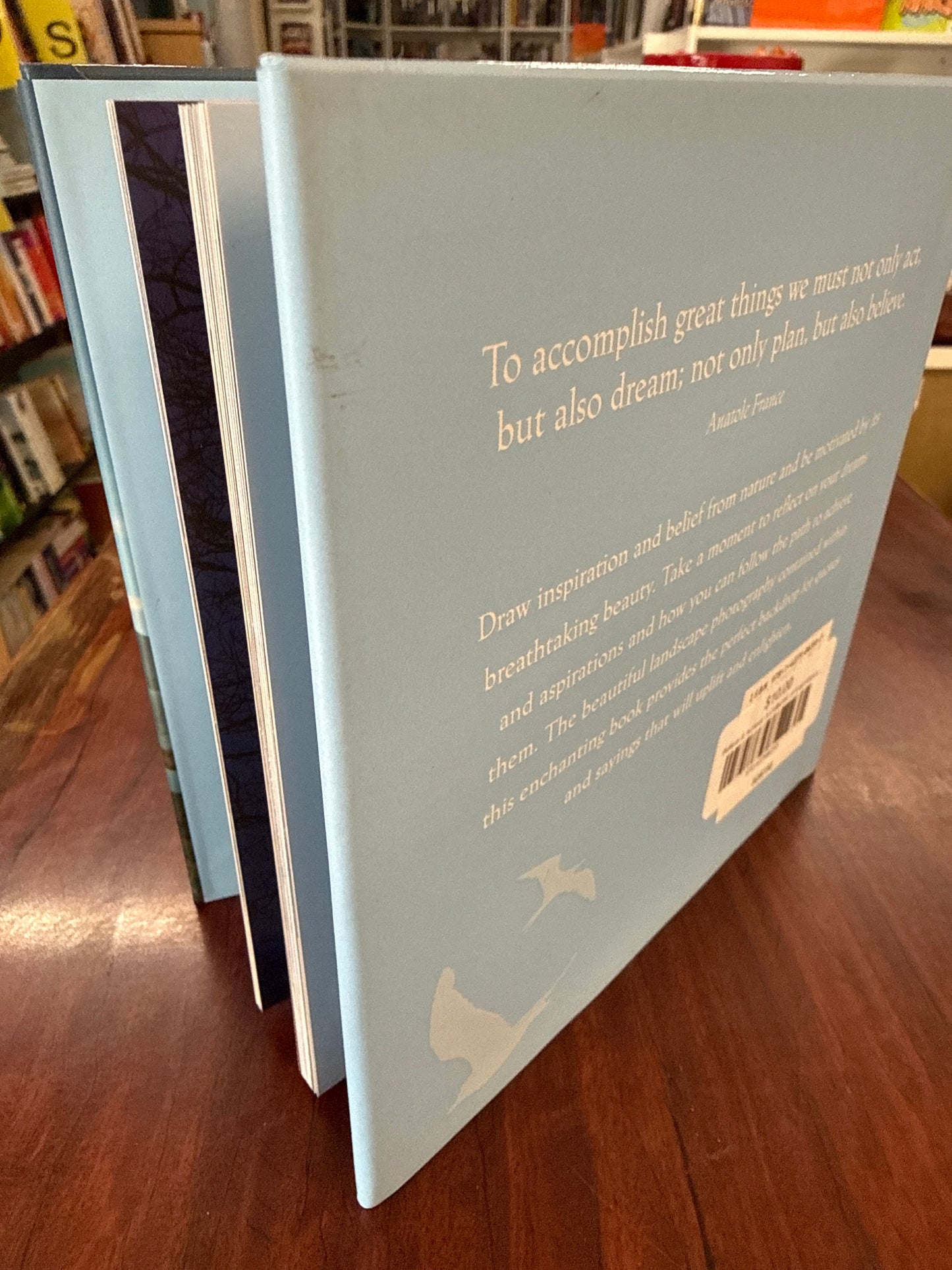 Believe & Achieve: A Collection of Inspirational Thoughts and Images