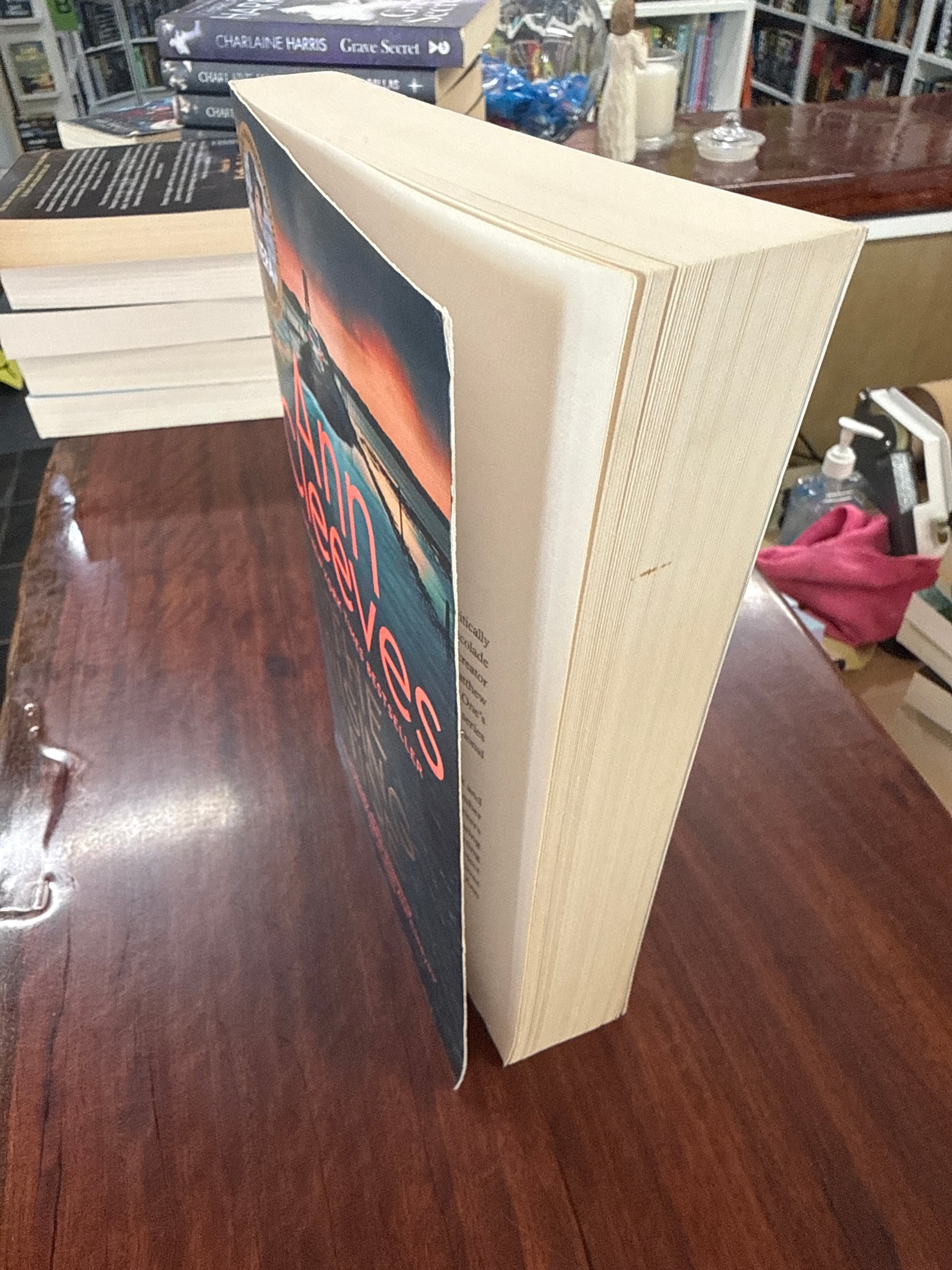 The Rising Tide (Vera Stanhope)