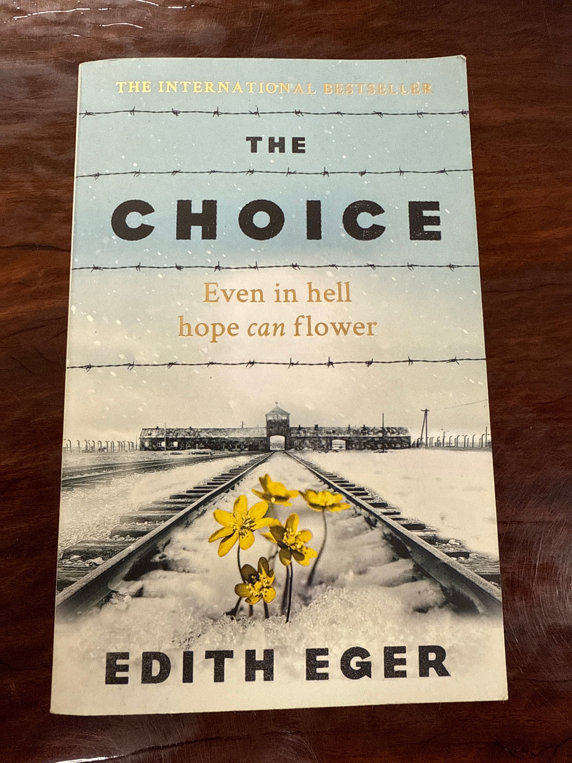 The Choice: A true story of hope