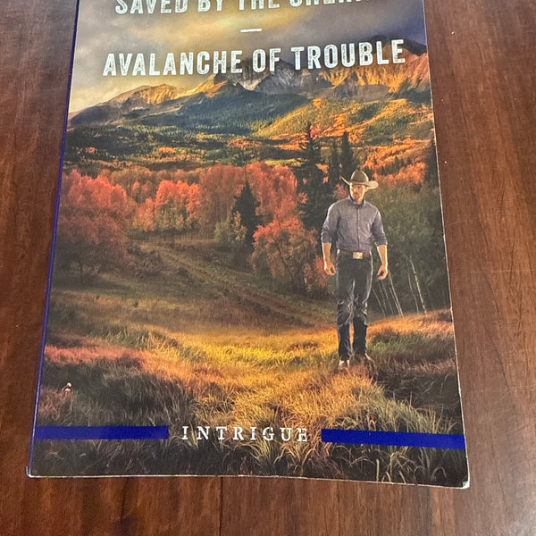 Saved By The Sheriff/Avalanche Of Trouble