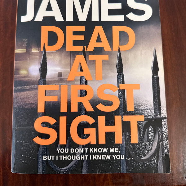 Dead at First Sight (Roy Grace #15)