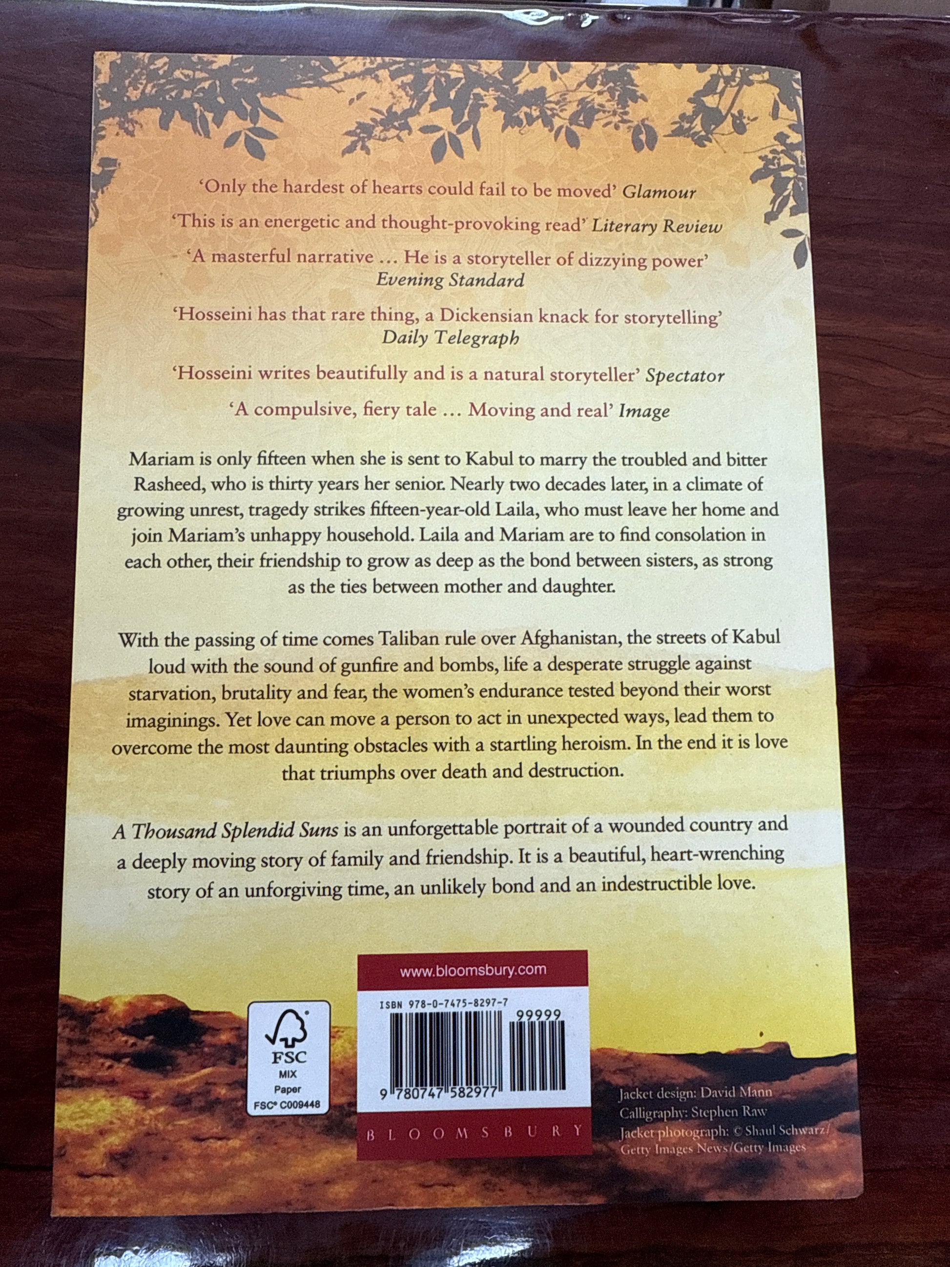 A Thousand Splendid Suns (The Kite Runner Collection #2)