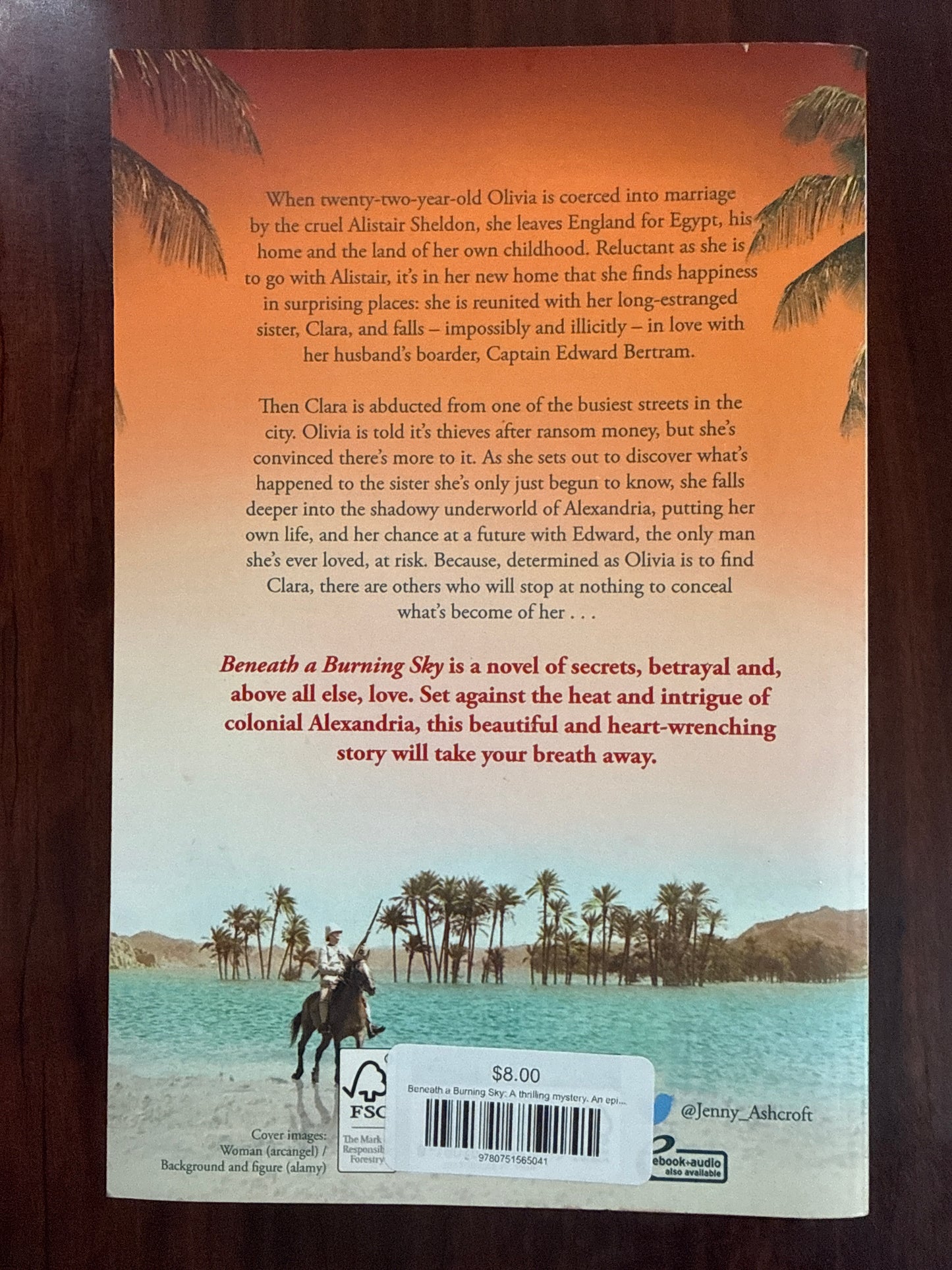 Beneath a Burning Sky: A thrilling mystery. An epic love story.