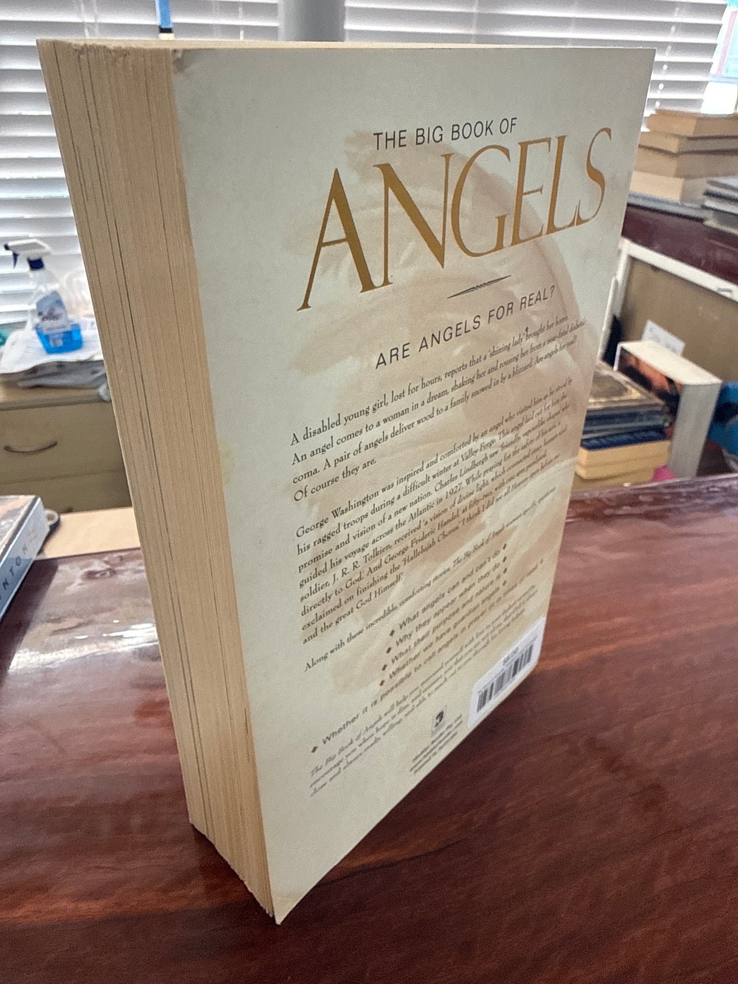 Big Book of Angels