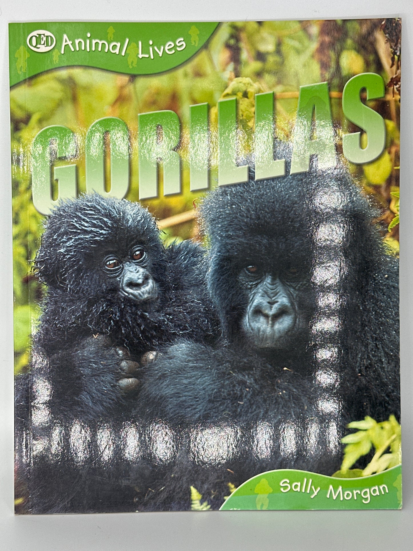 Animal Lives Bundle (7 Books)