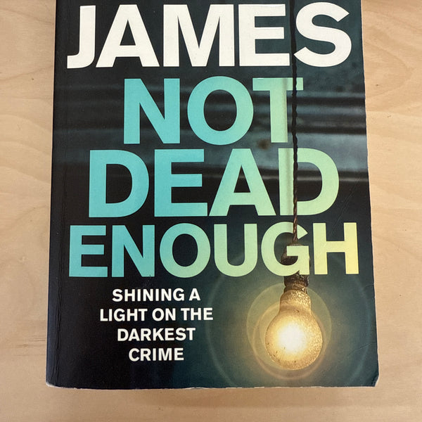 Not Dead Enough (Roy Grace #3)
