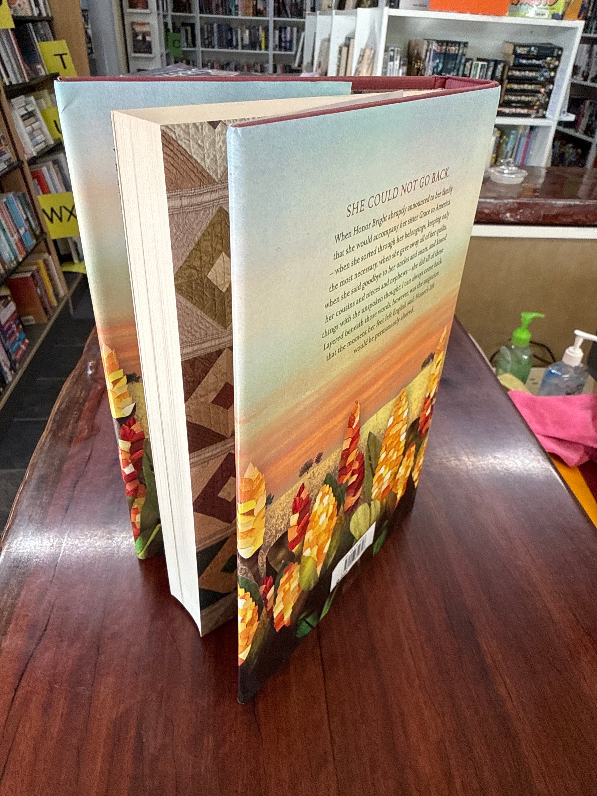 The Last Runaway (Hardcover)