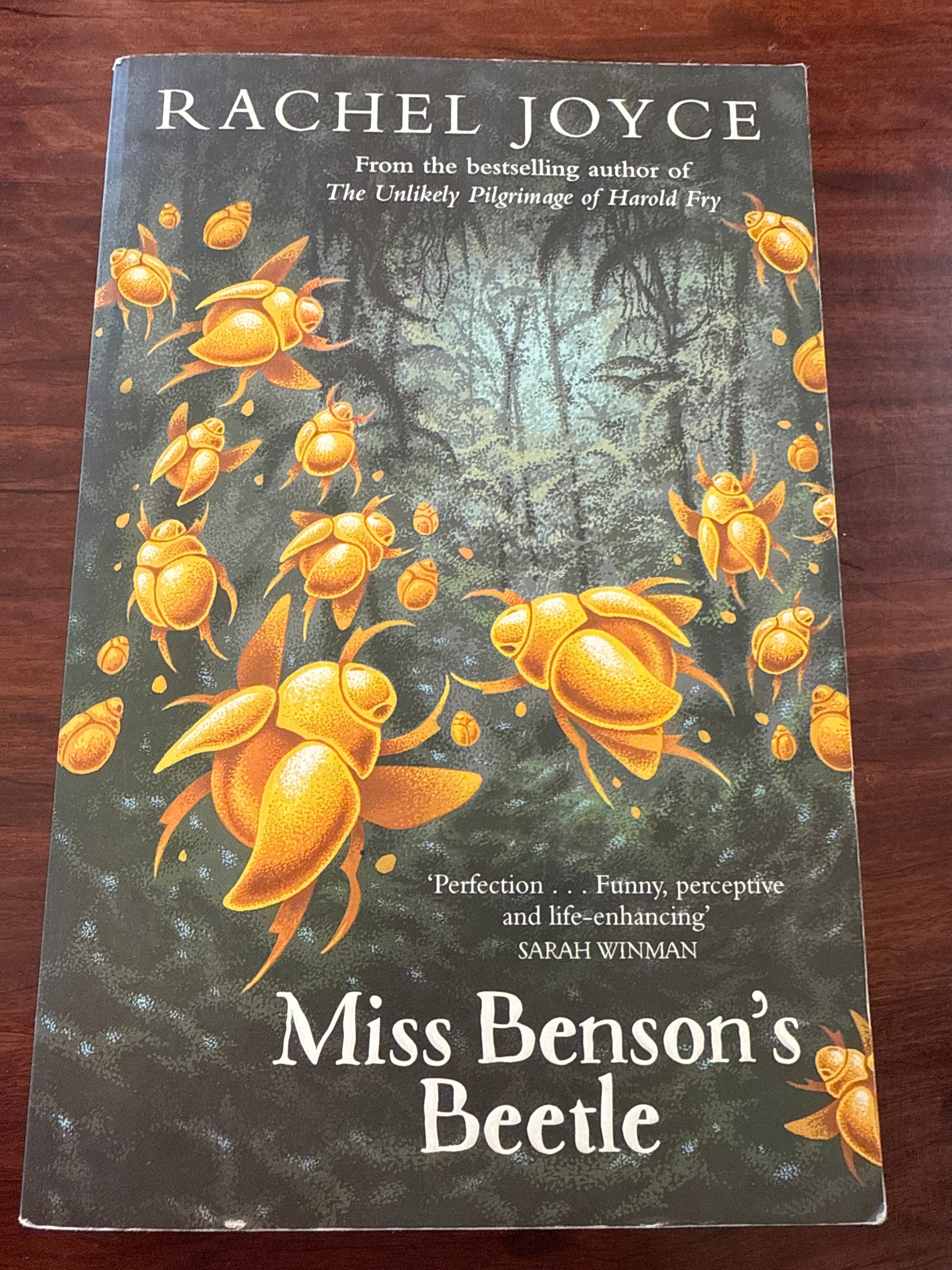 Miss Benson's Beetle