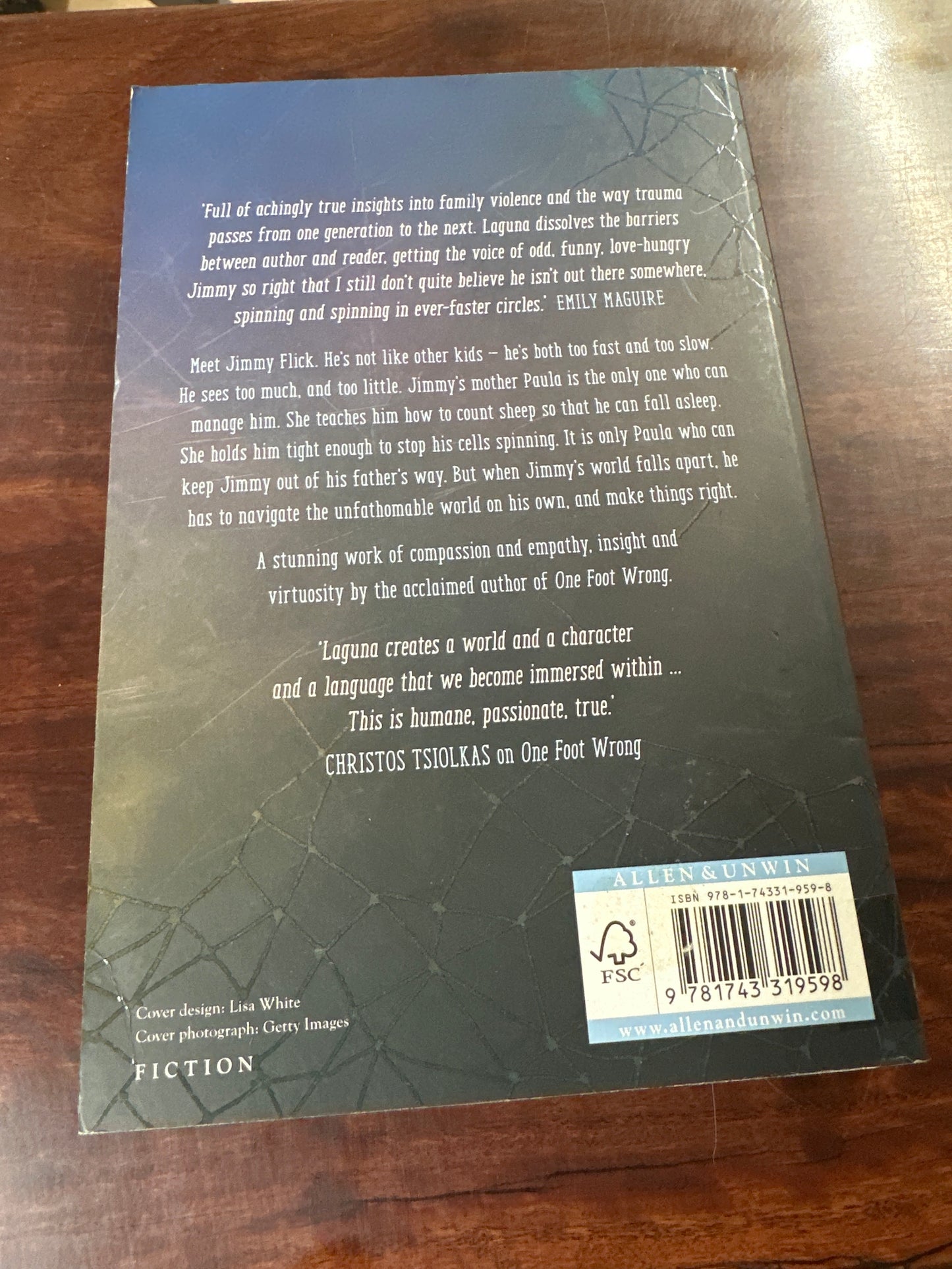 The Eye Of The Sheep