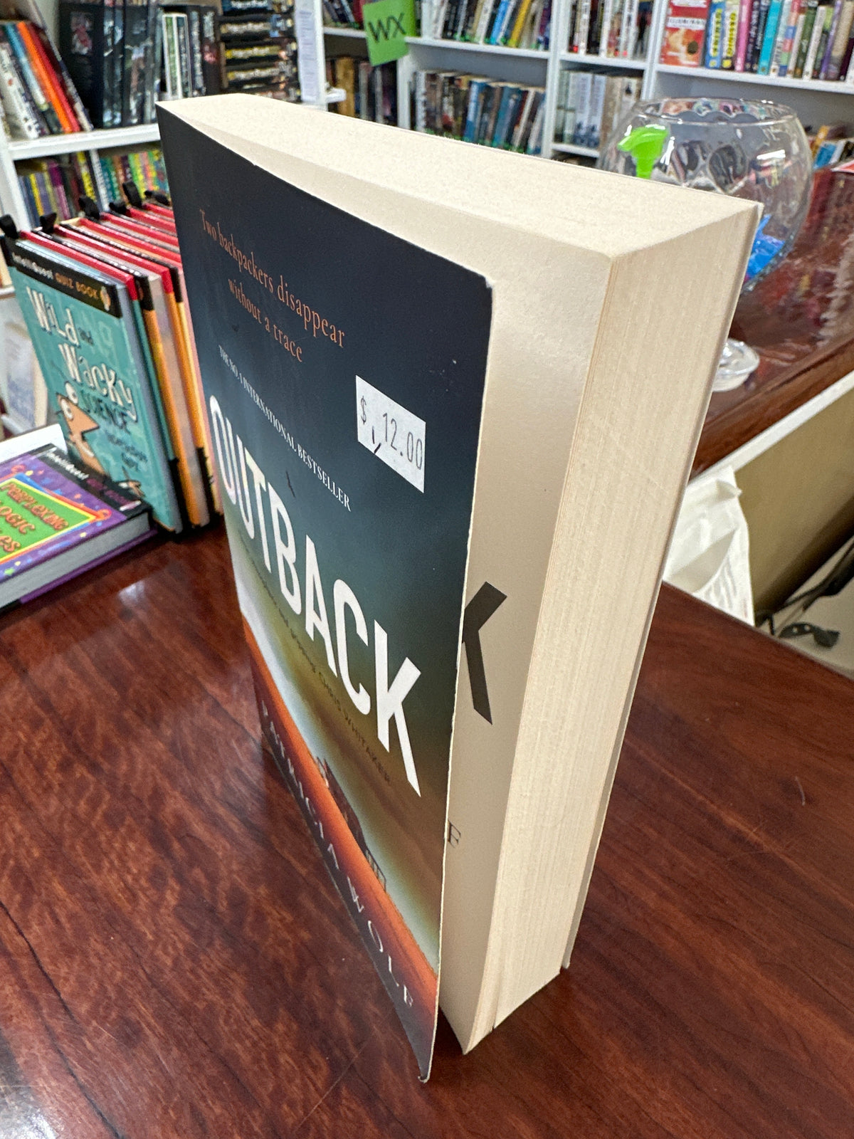 Outback (DS Walker #1)