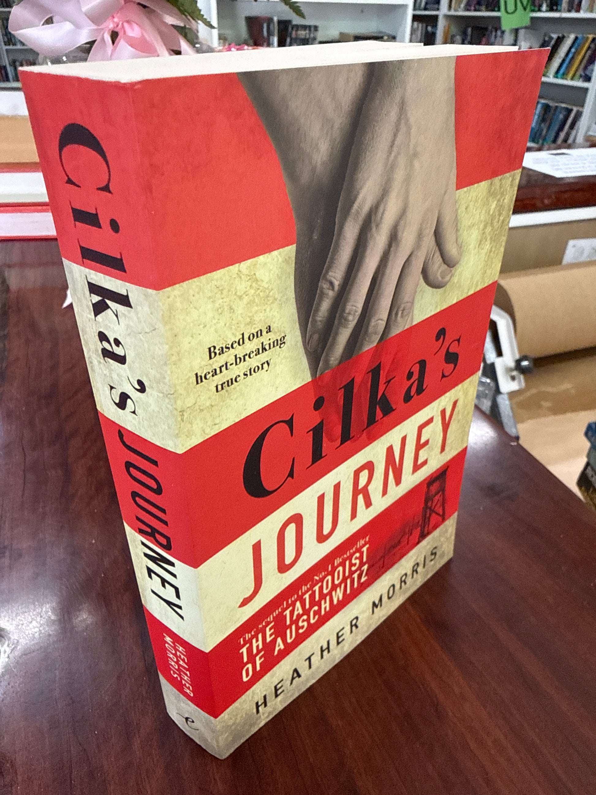 Cilka's Journey