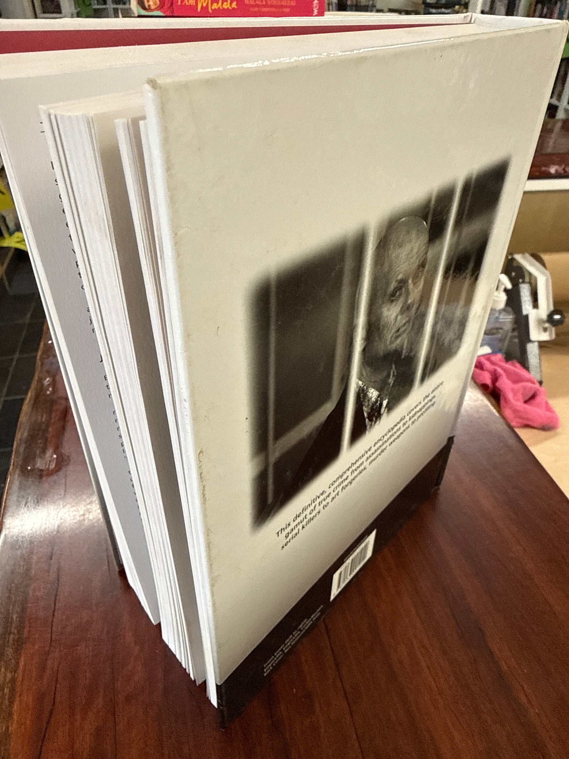 The Encyclopedia Of Crime (Hardcover)