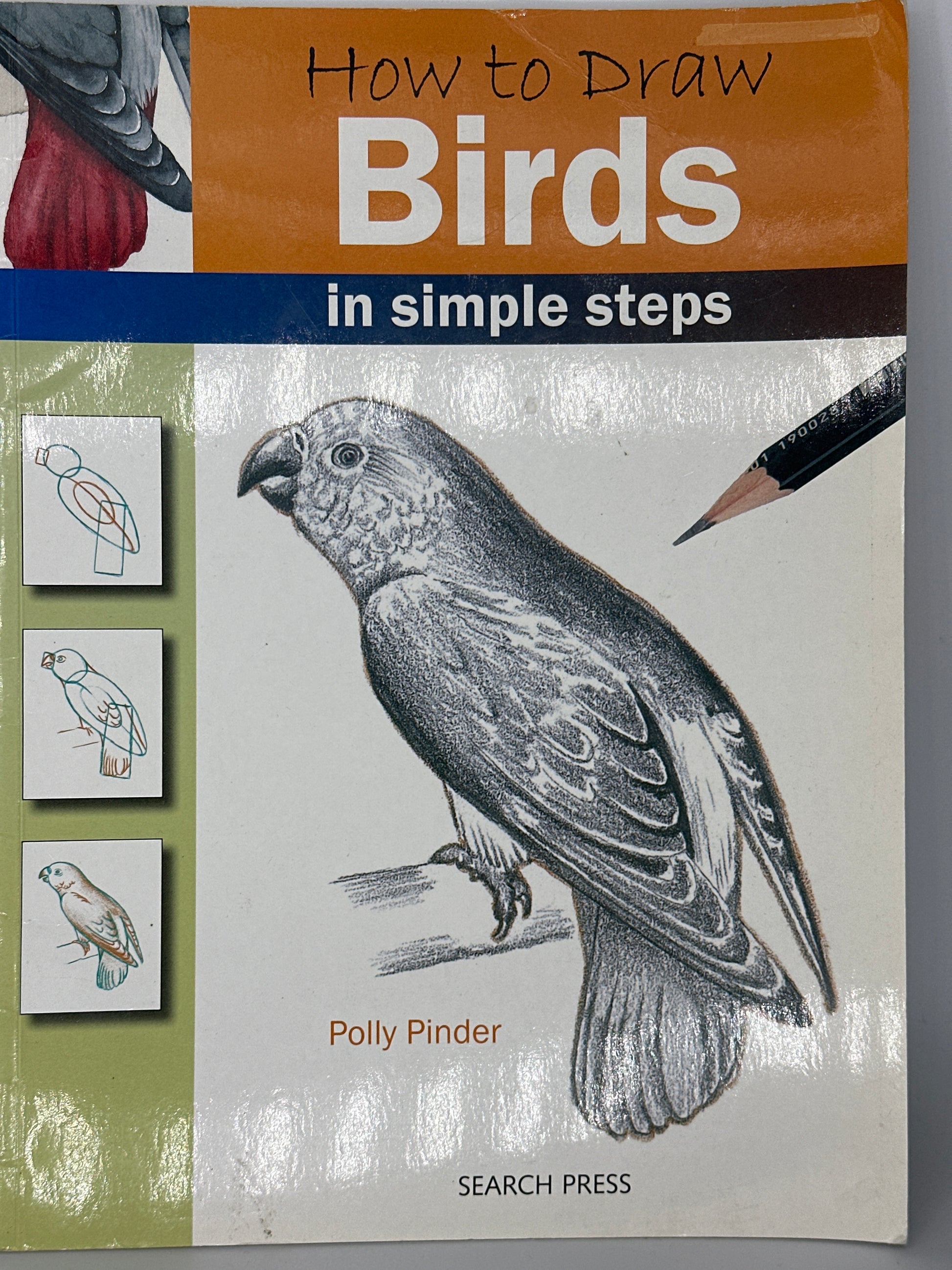 How to Draw Birds: in simple steps