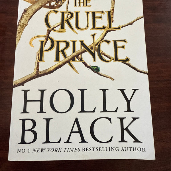 The Cruel Prince (The Folk of the Air #1)