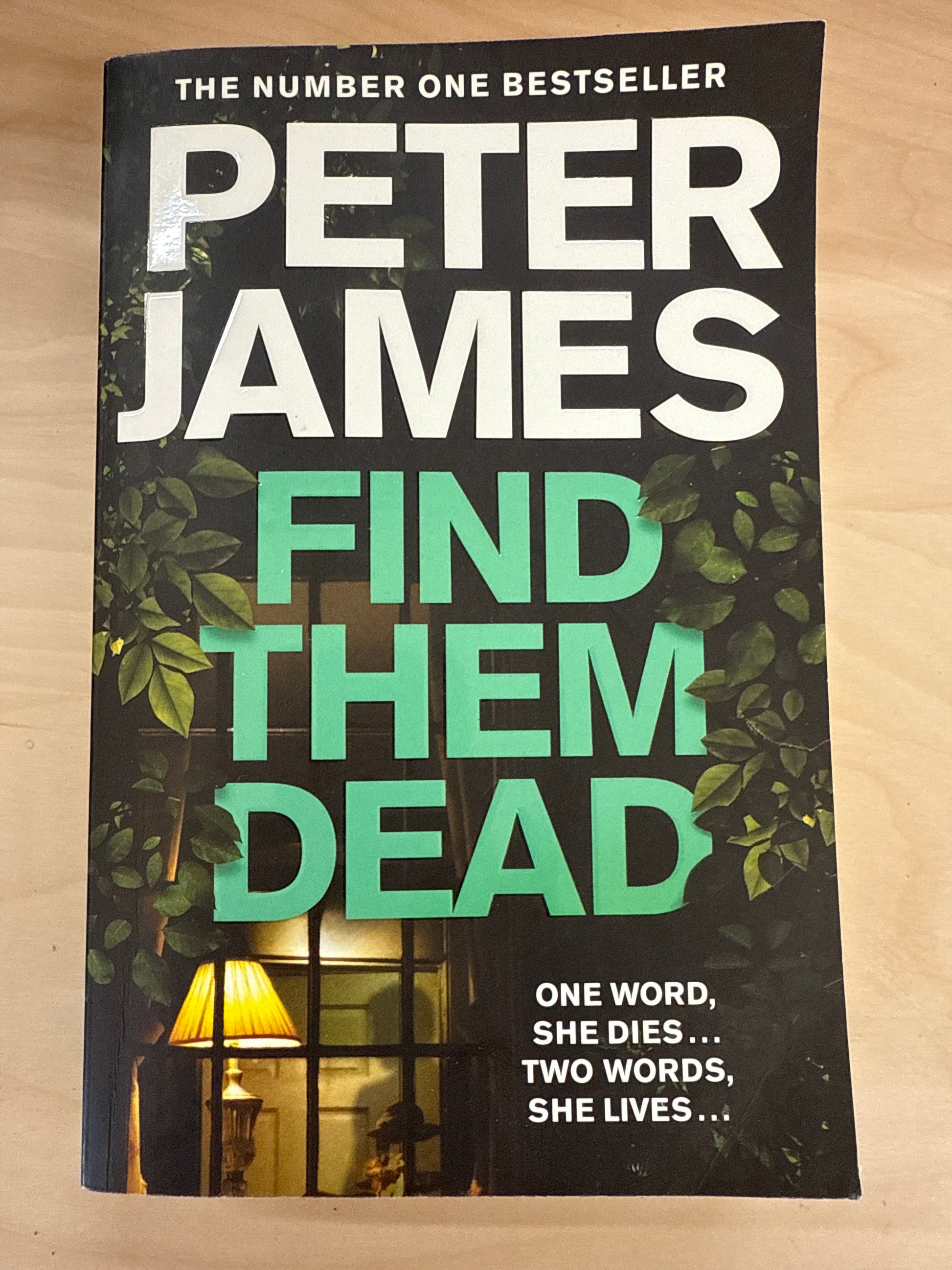 Find Them Dead (Roy Grace #16)