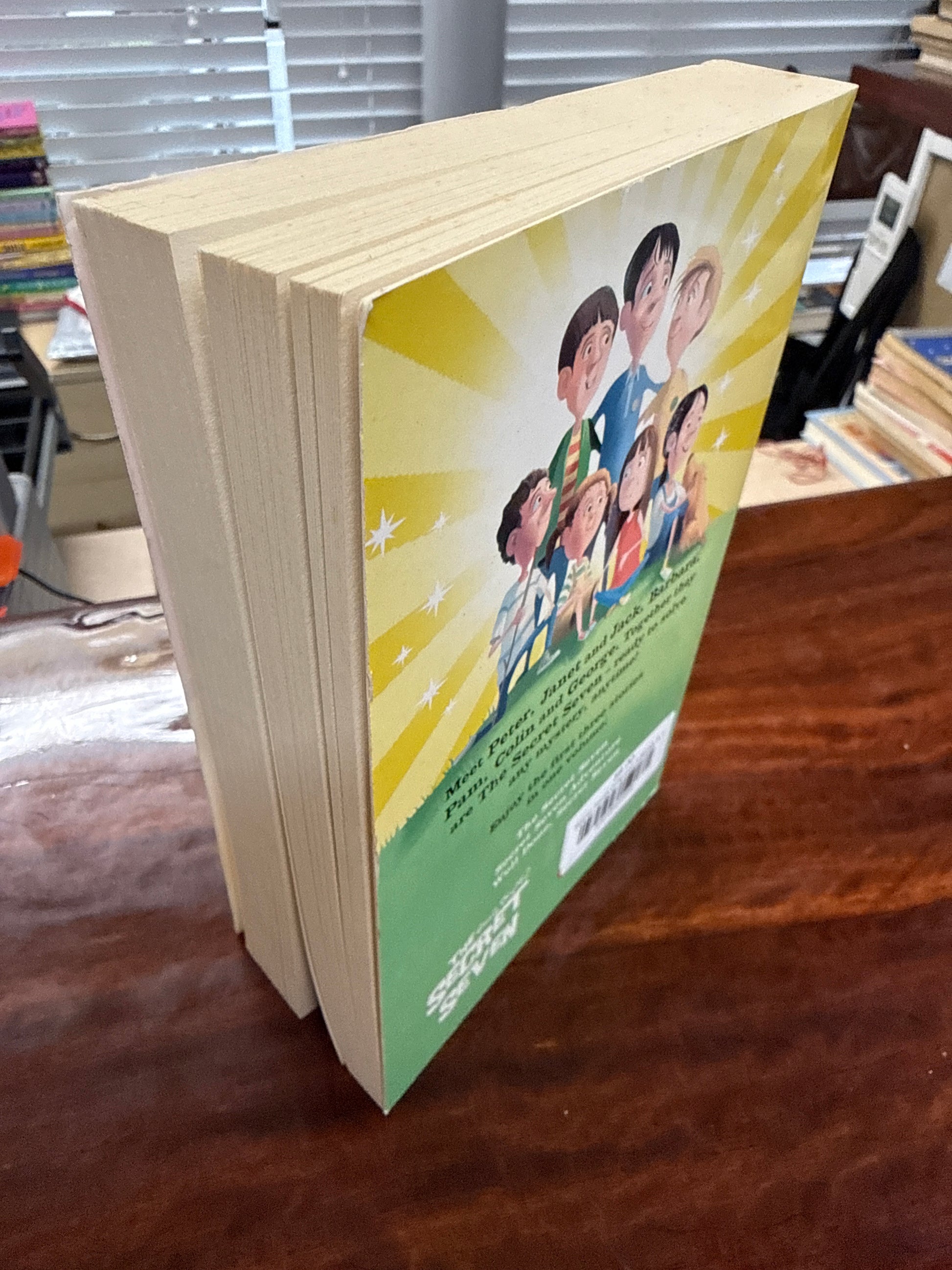 Secret Seven Collection 3 Books In 1