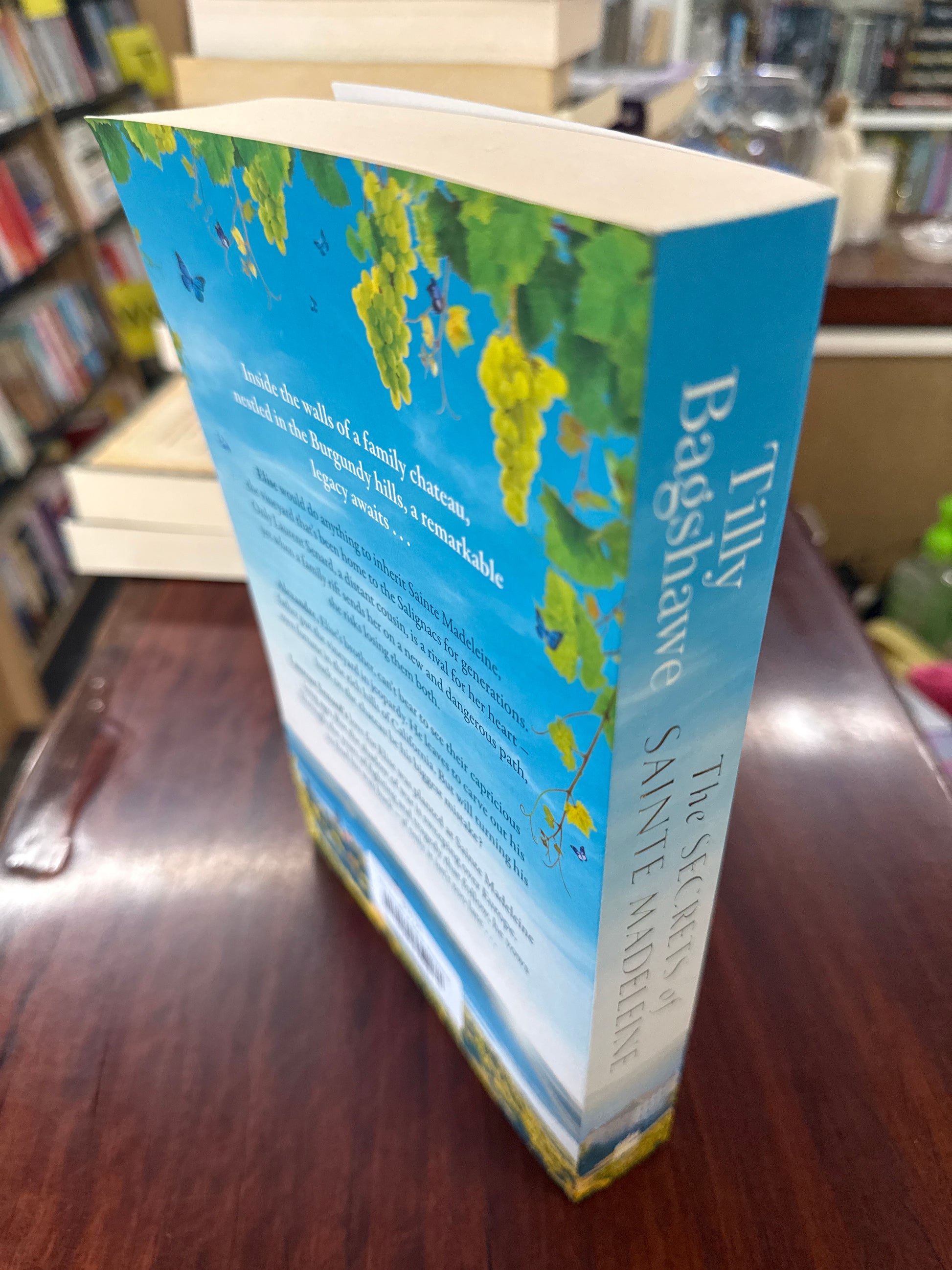 The Secrets of Sainte Madeleine