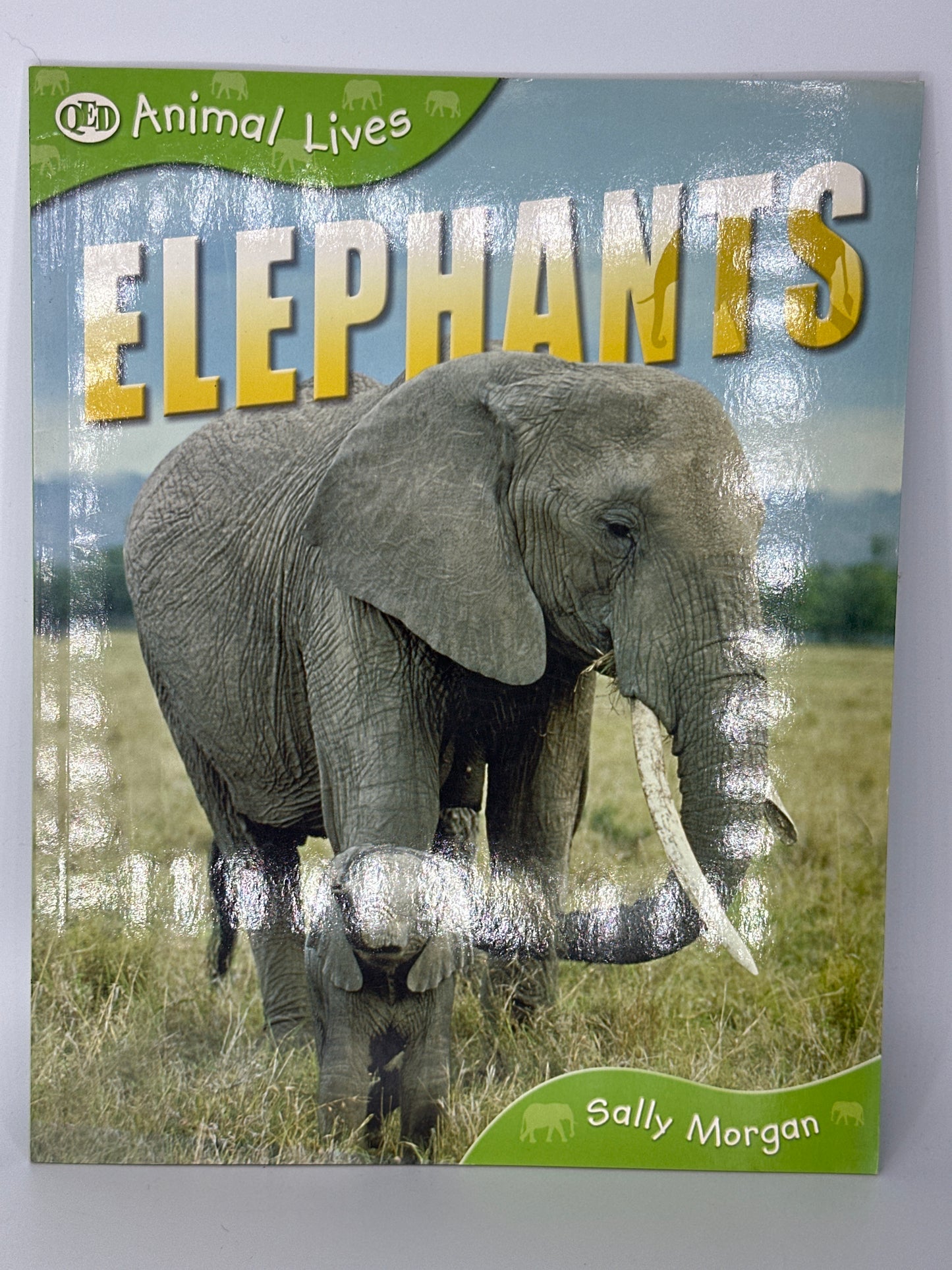 Animal Lives Bundle (7 Books)