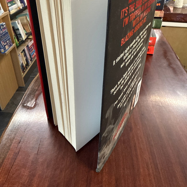 Invisible (Hardcover)
