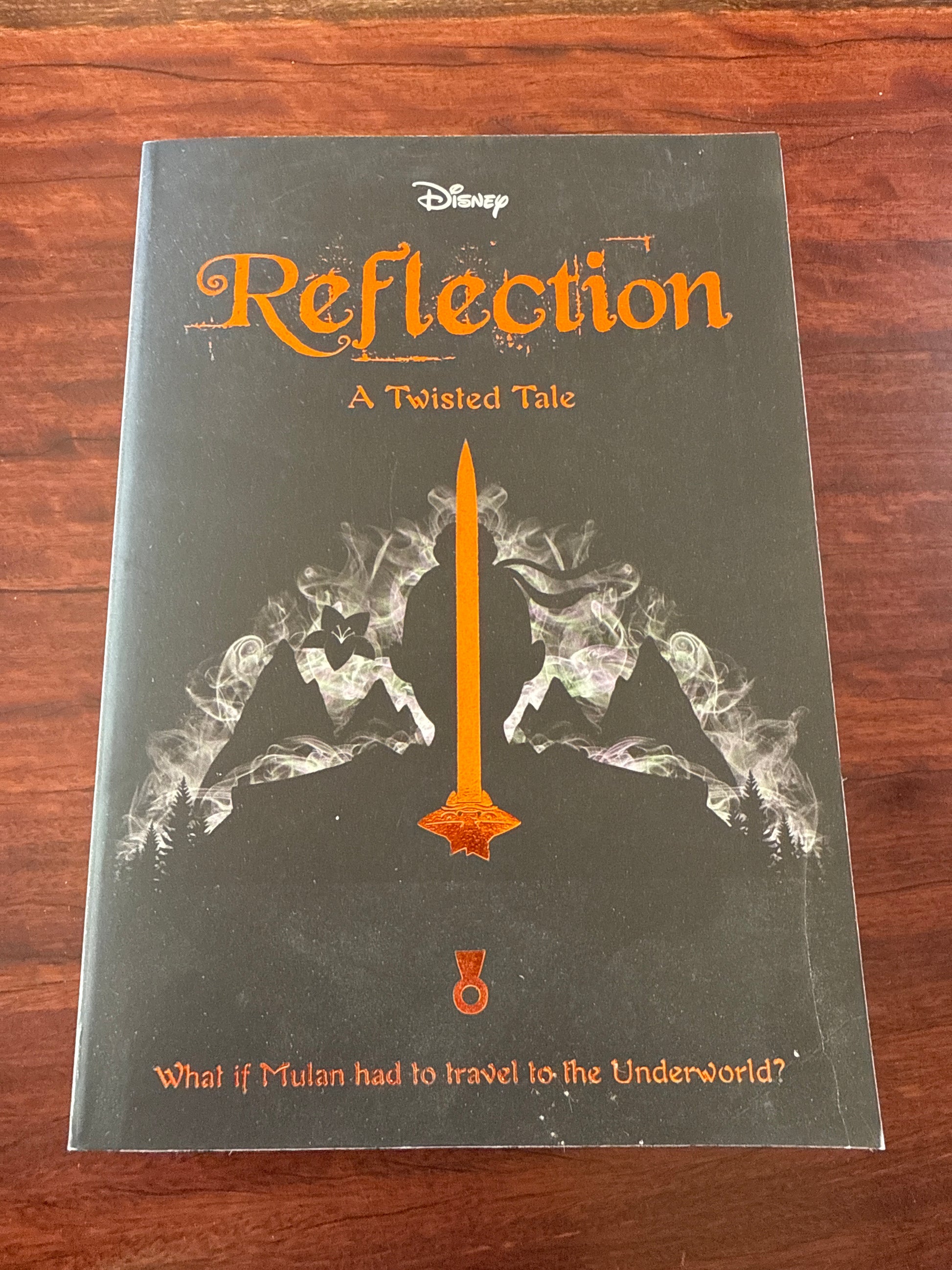 Disney: A Twisted Tale: Reflection