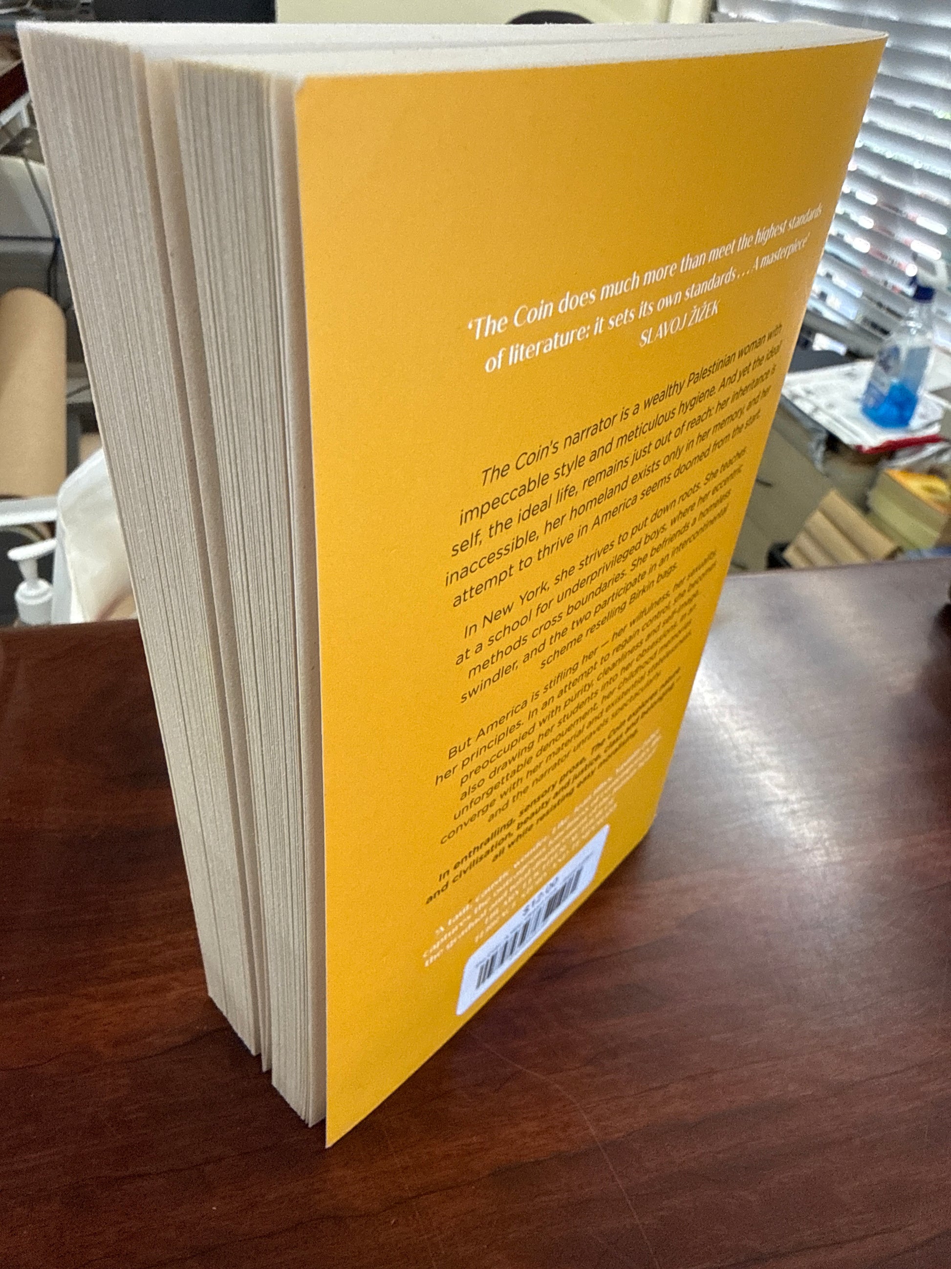 The Coin: 'A filthy, elegant book' - Raven Leilani