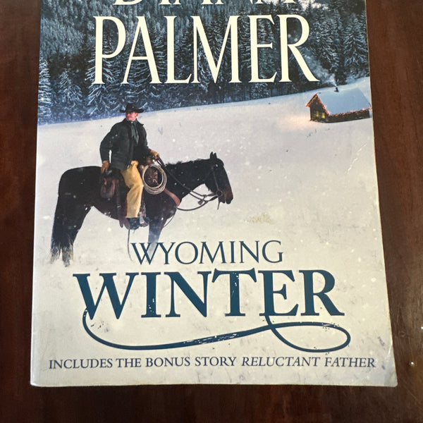 Wyoming Winter (Wyoming Men #7)