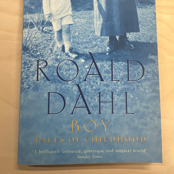 Boy: Tales of Childhood