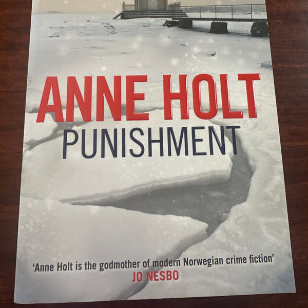 Punishment (Vik & Stubo Book1)