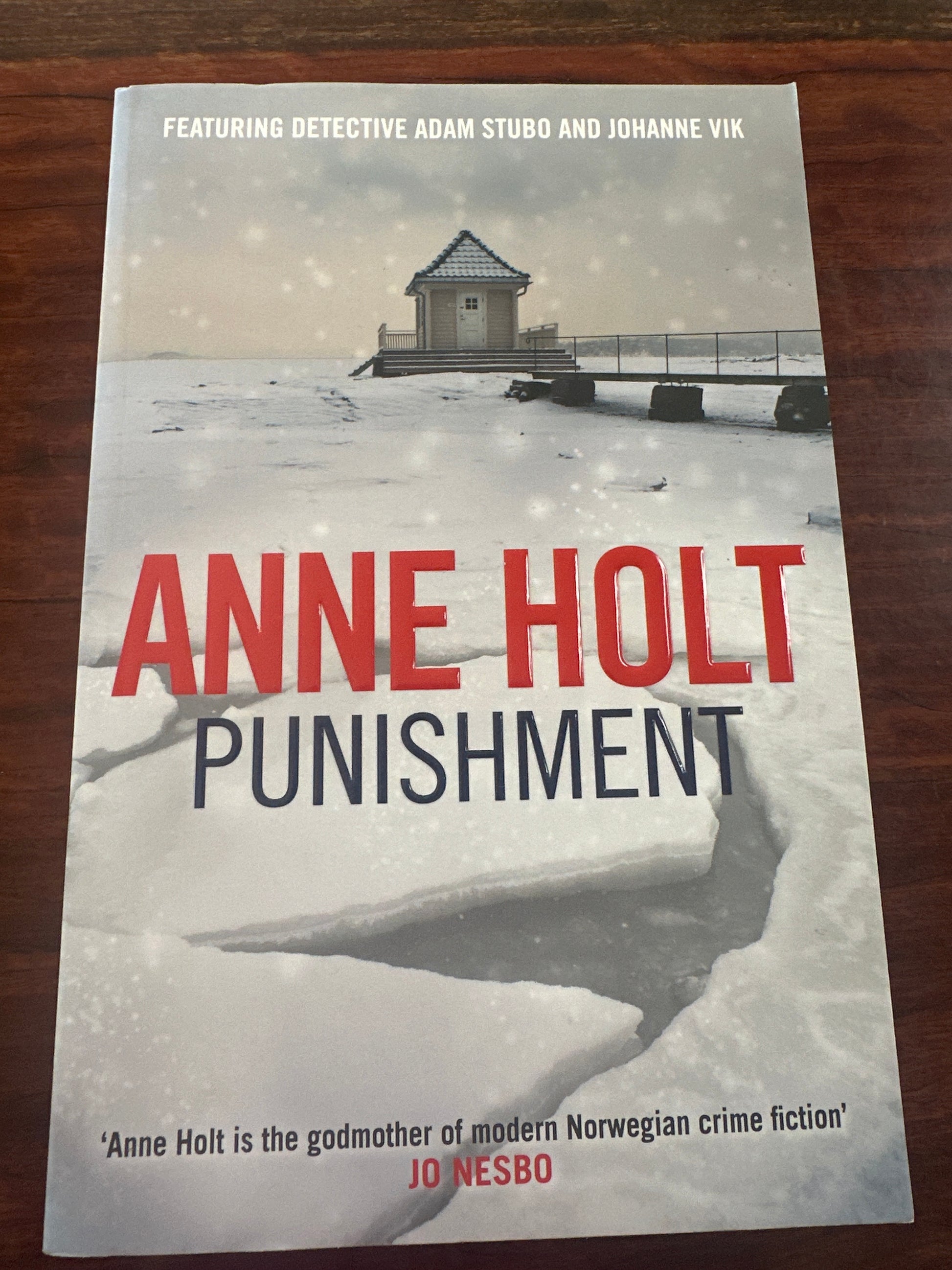 Punishment (Vik & Stubo Book1)