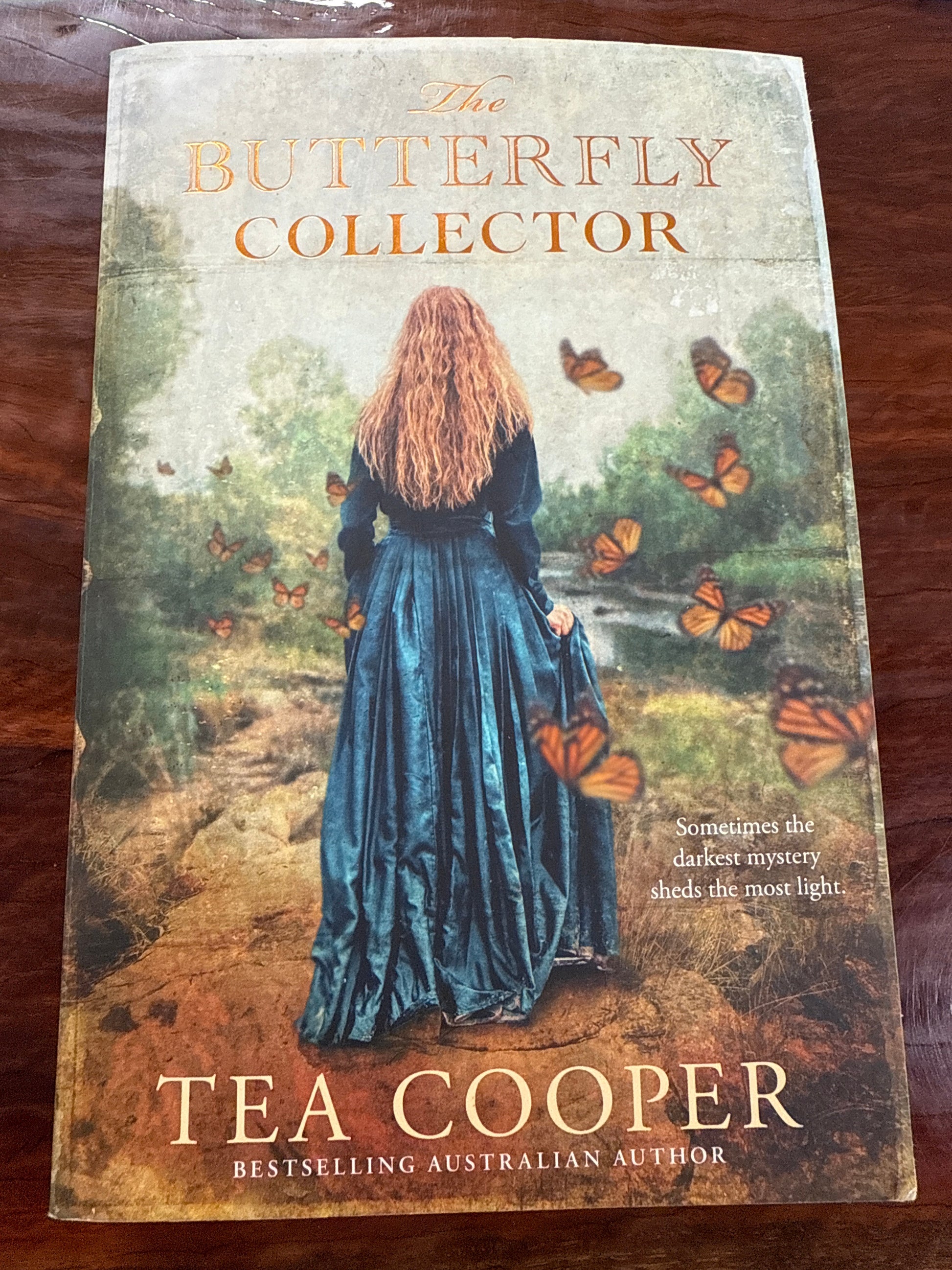 The Butterfly Collector