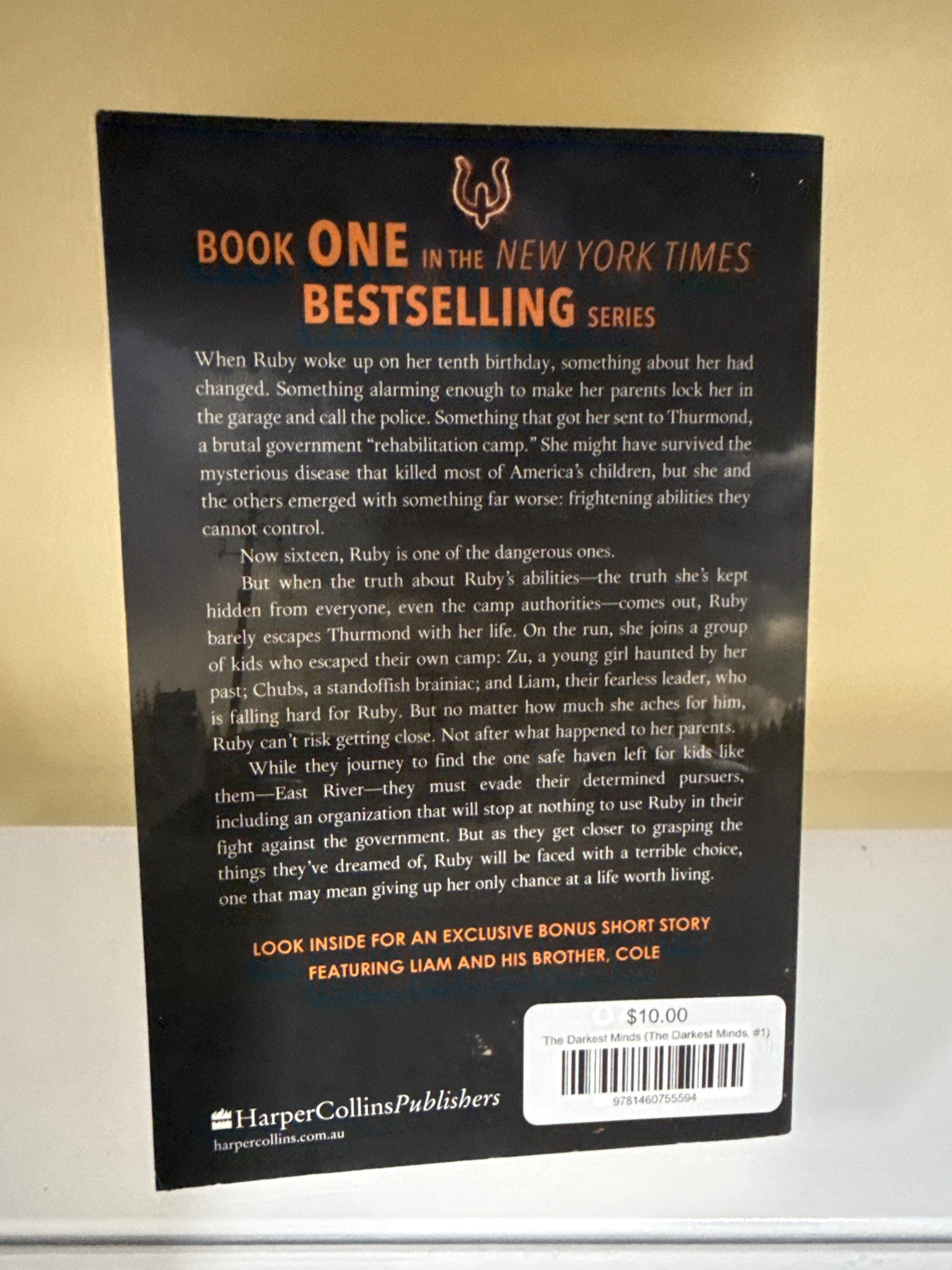 The Darkest Minds (The Darkest Minds, #1)
