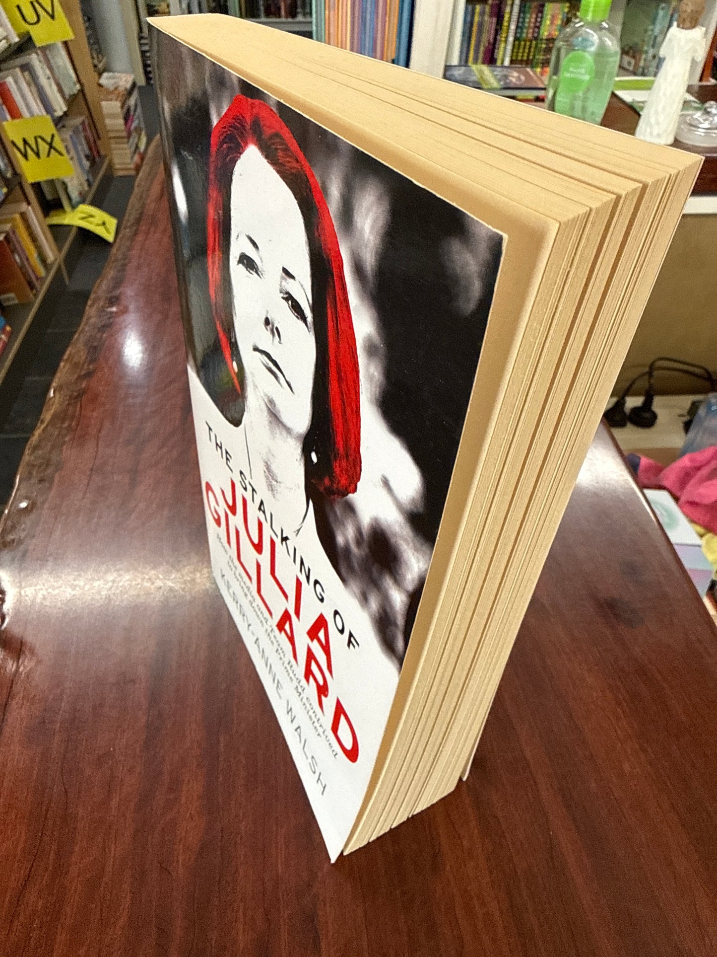 The Stalking of Julia Gillard: How the media and Team Rudd contrived to bring down the Prime Minister