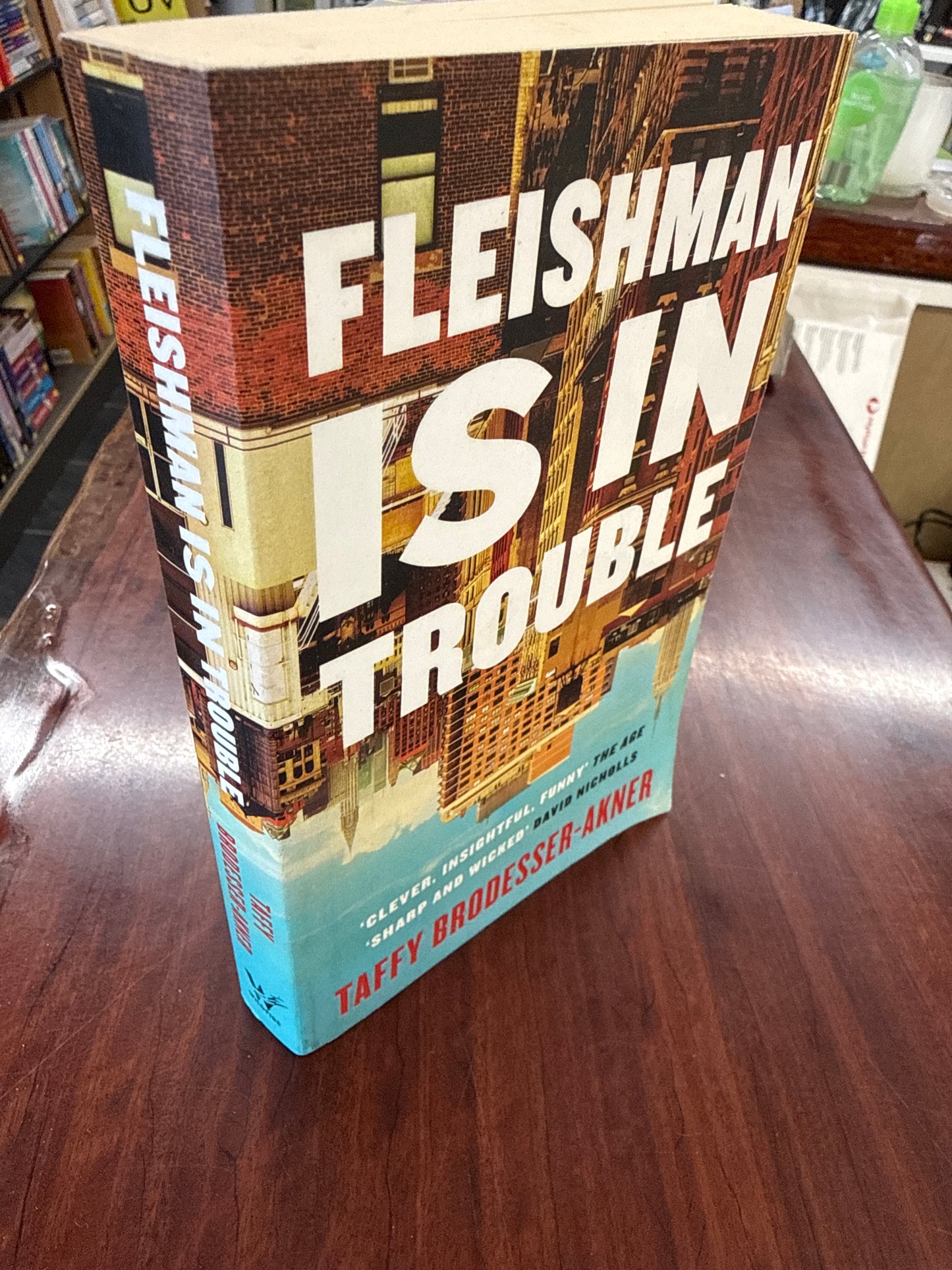 Fleishman is in Trouble