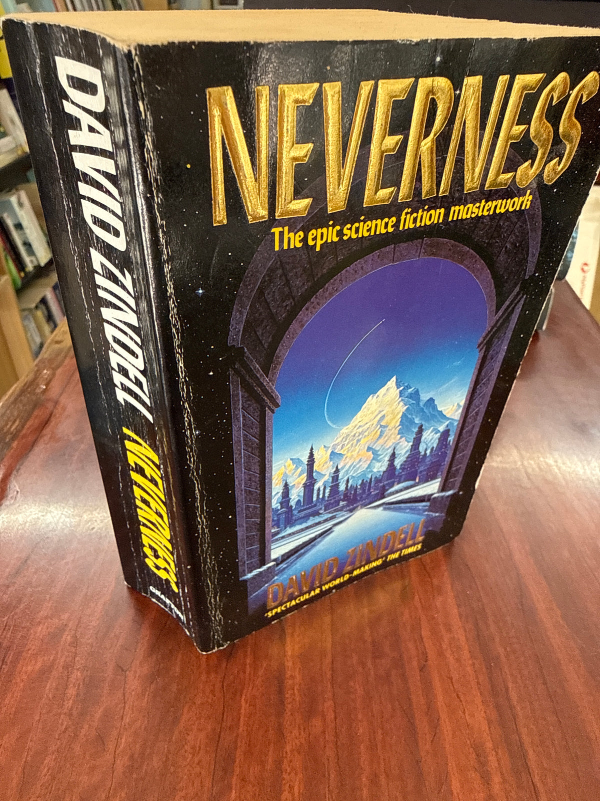 Neverness (A Requiem for Homo Sapiens #0)