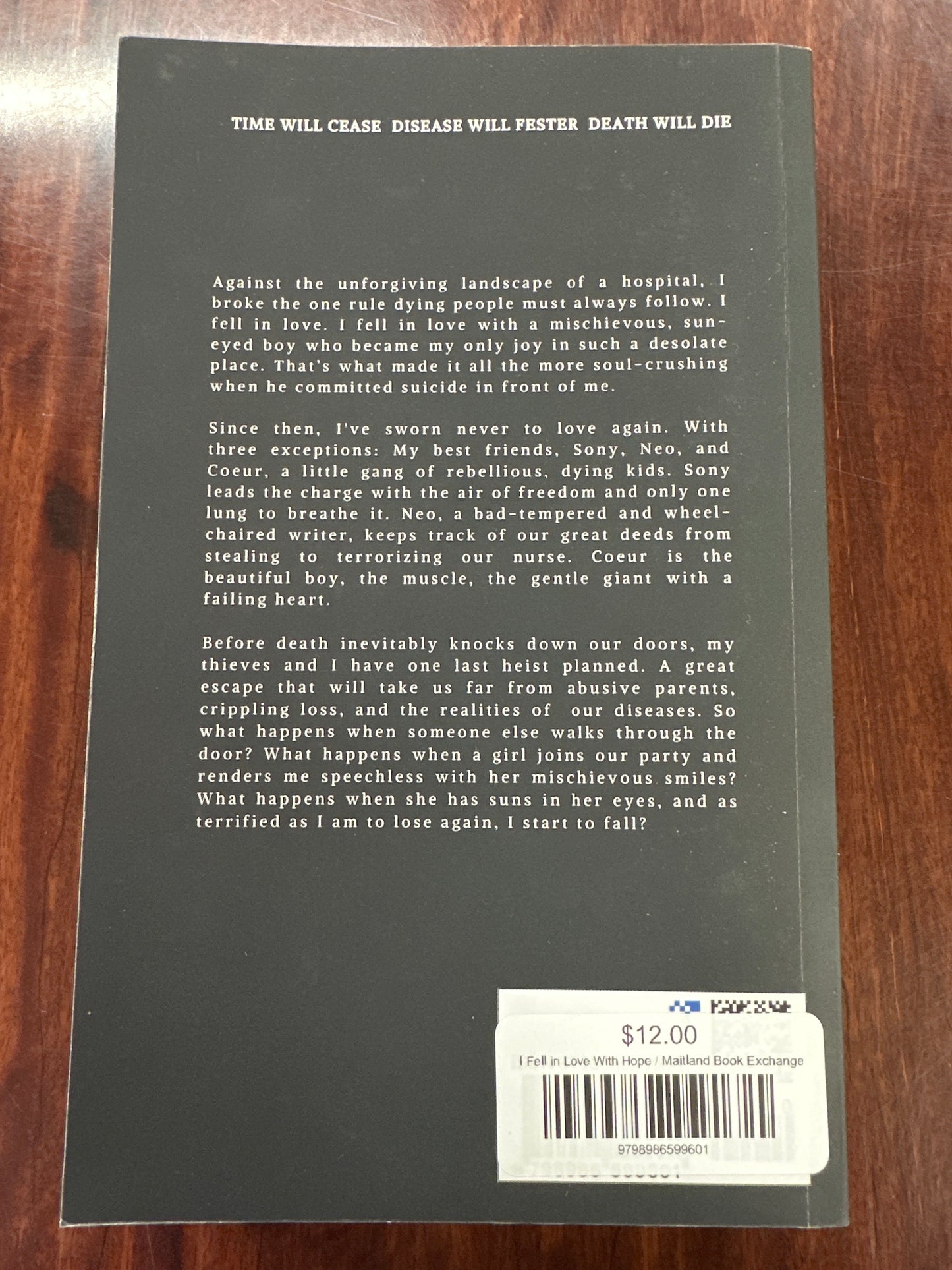 I Fell in Love With Hope