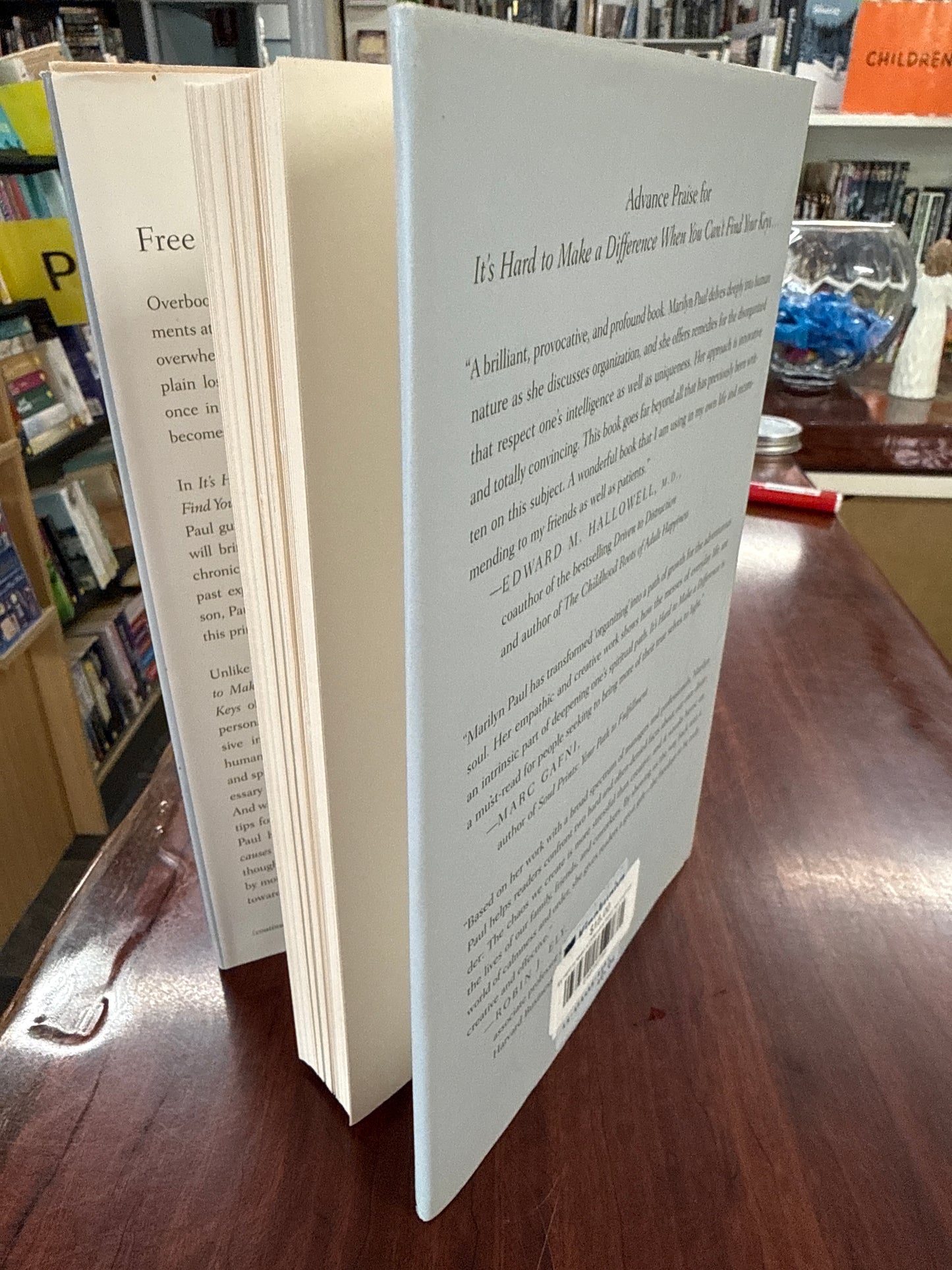 It's Hard to Make a Difference When You Can't Find Your Keys: The Seven Step Path to Becoming Truly Organized (Hardcover)